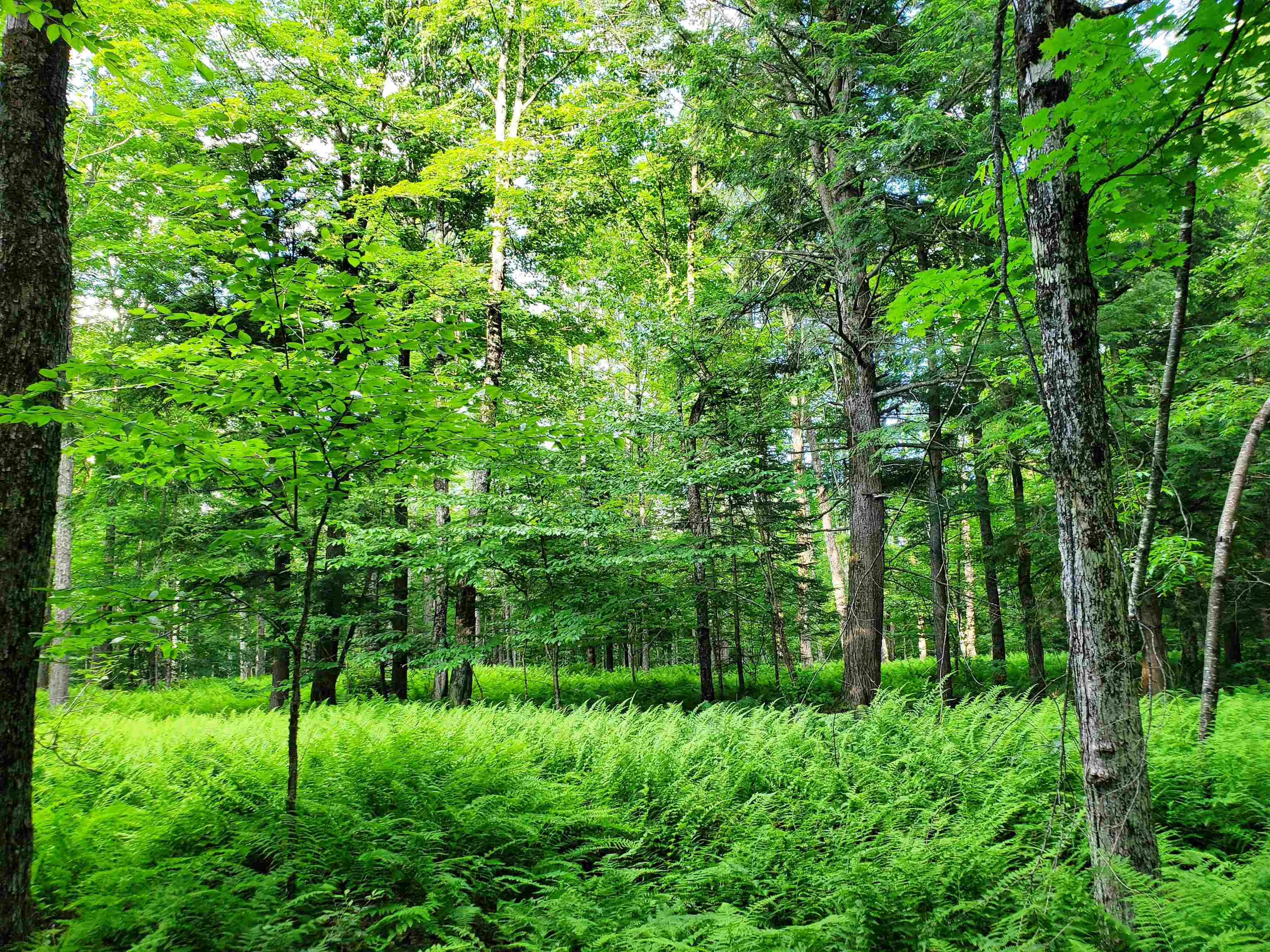 2690 Vt Route 105 Property Photo 21