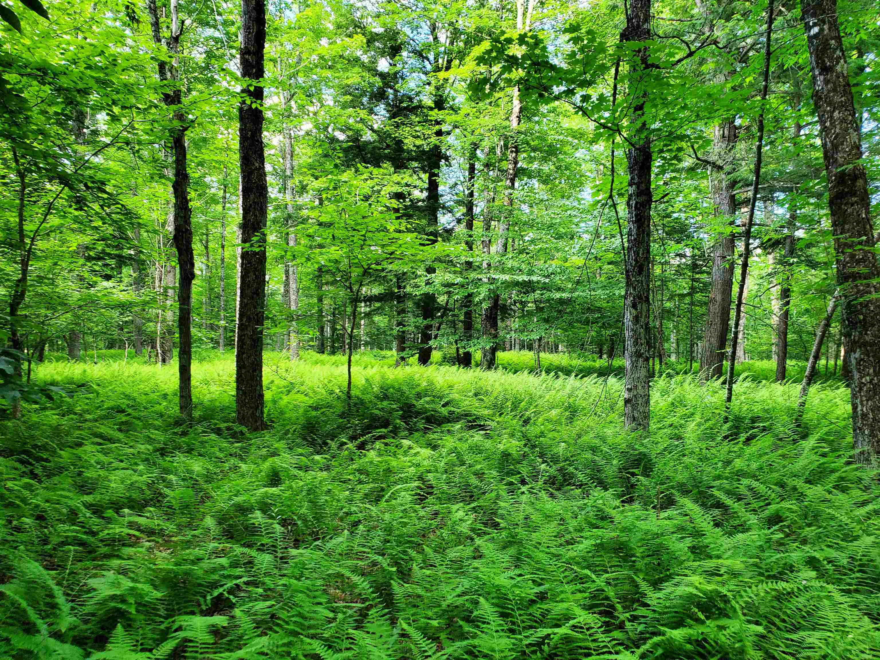 2690 Vt Route 105 Property Photo 22