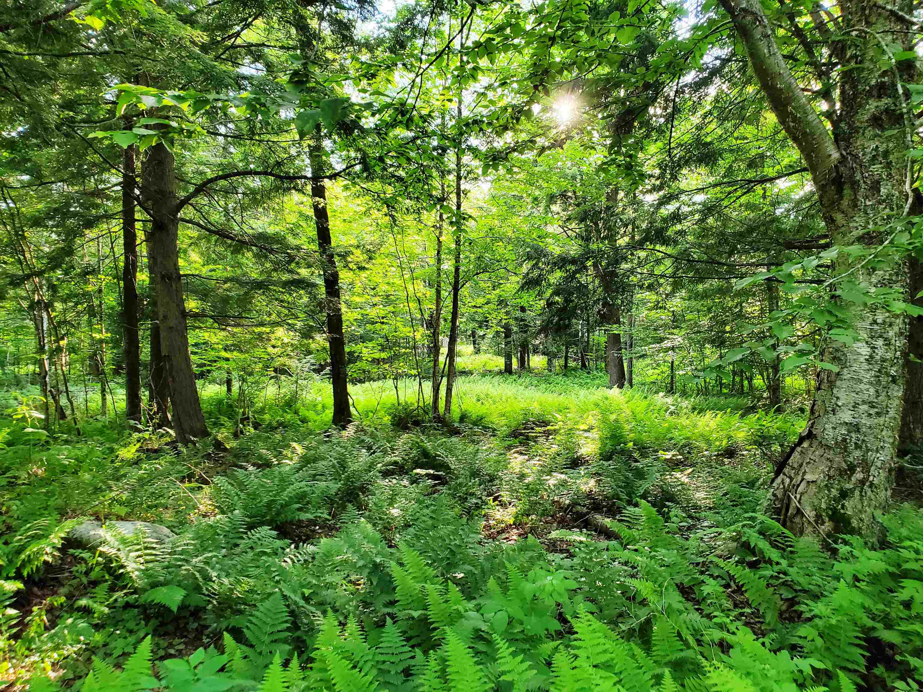 2690 Vt Route 105 Property Photo 23