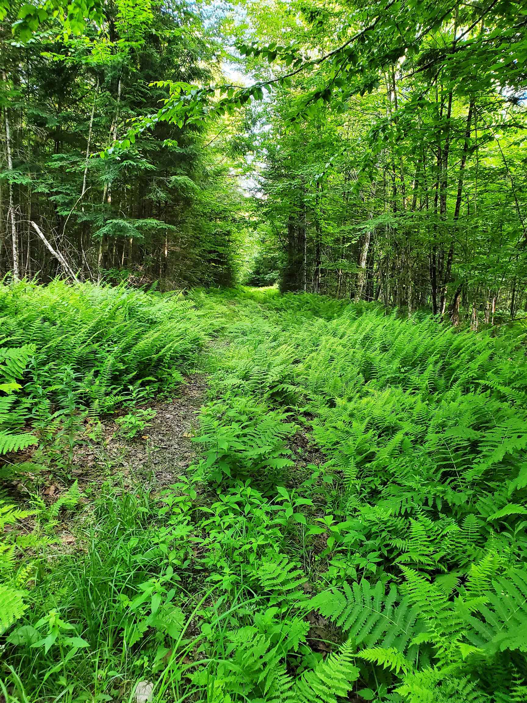 2690 Vt Route 105 Property Photo 24