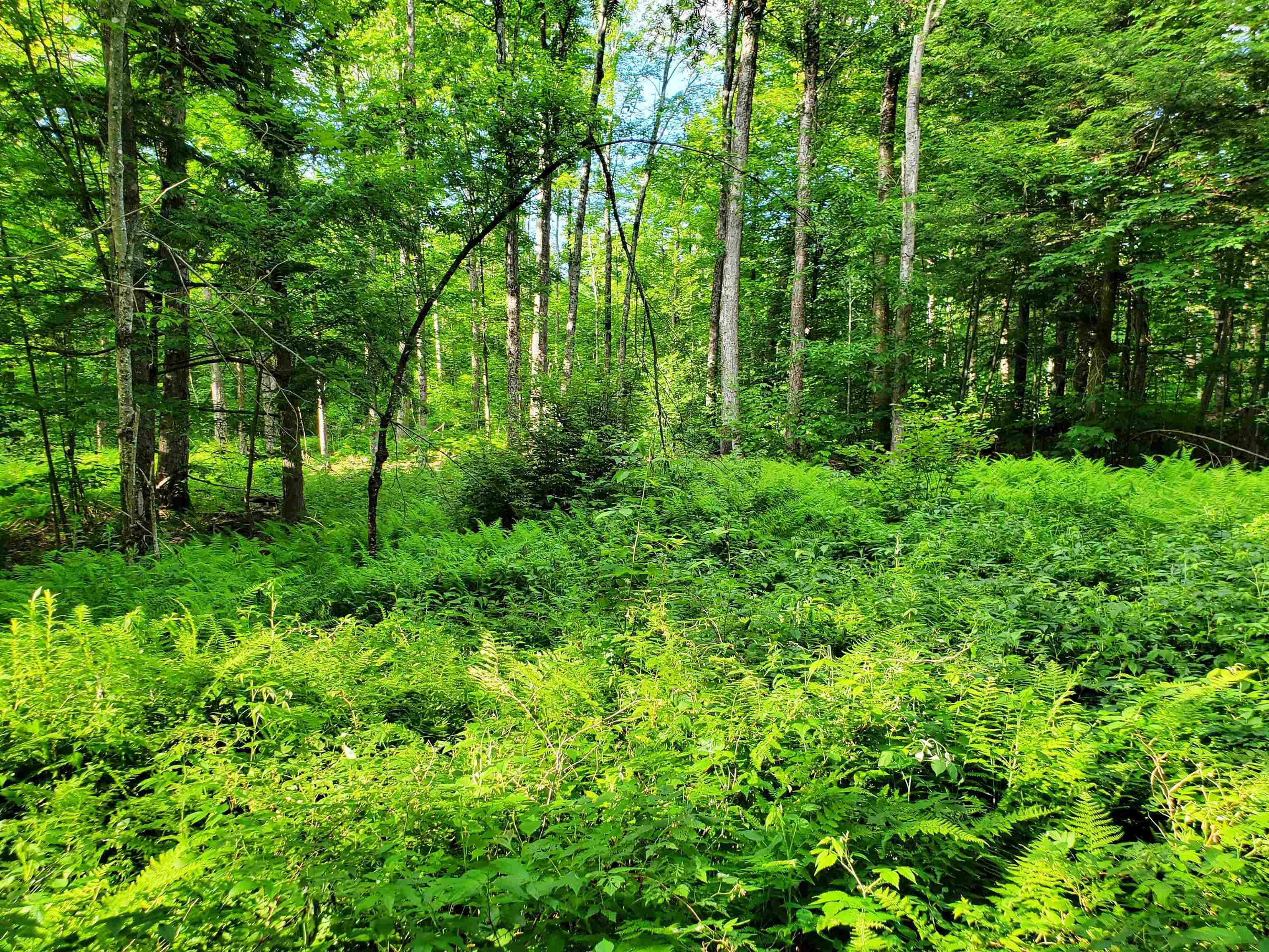 2690 Vt Route 105 Property Photo 25