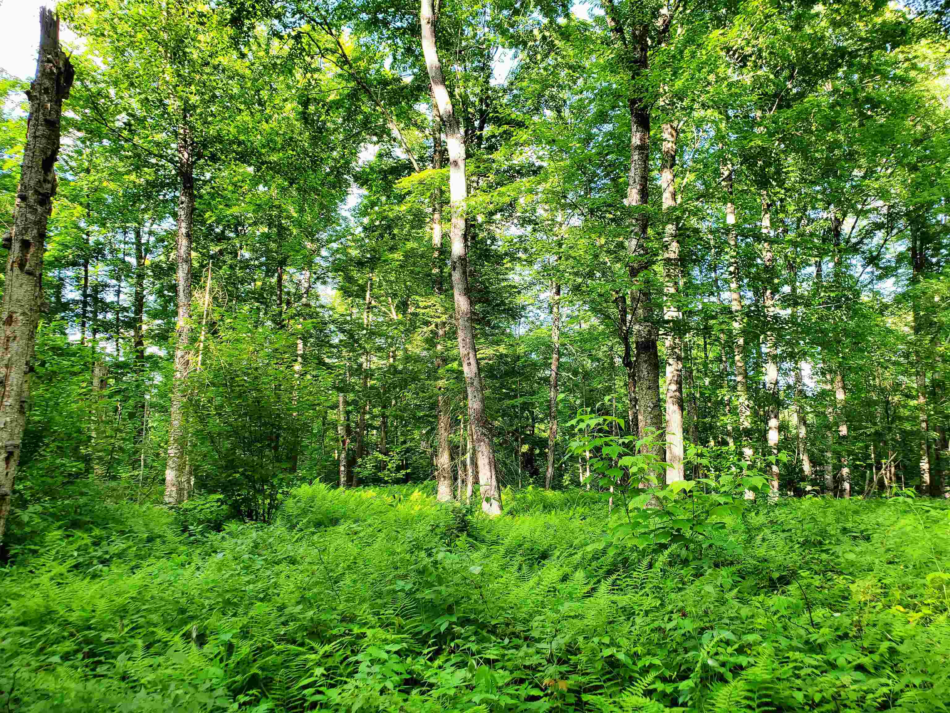2690 Vt Route 105 Property Photo 26