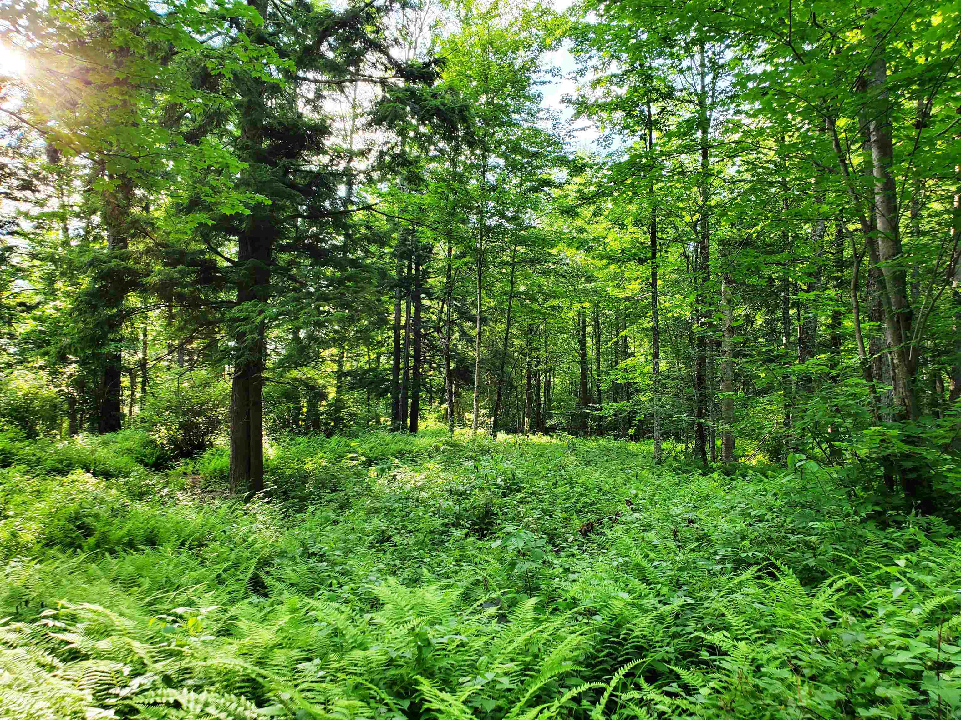 2690 Vt Route 105 Property Photo 27