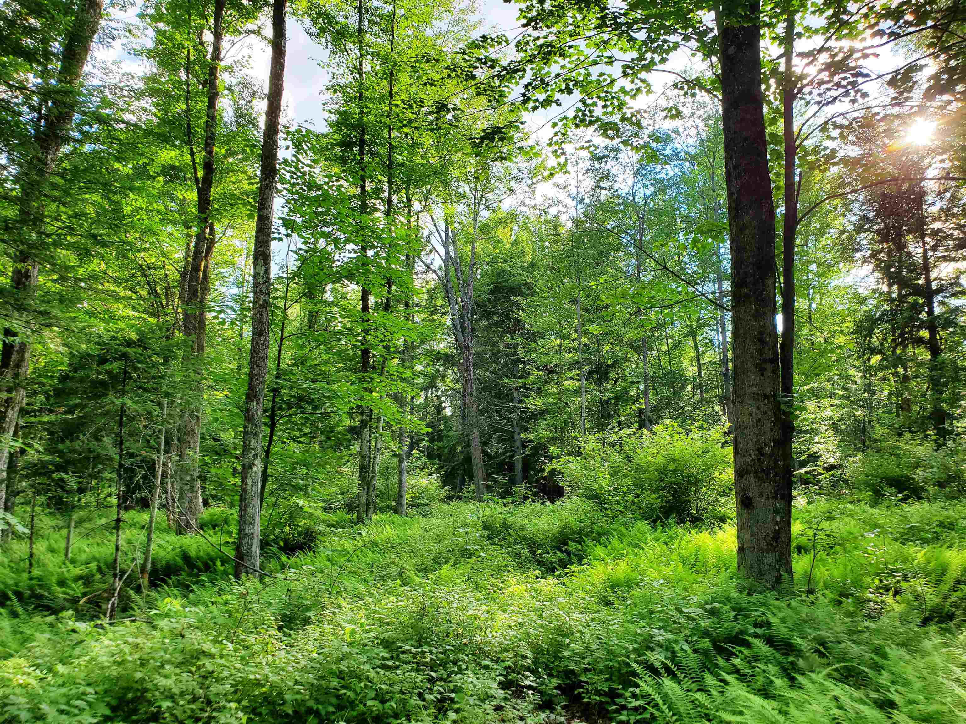 2690 Vt Route 105 Property Photo 28