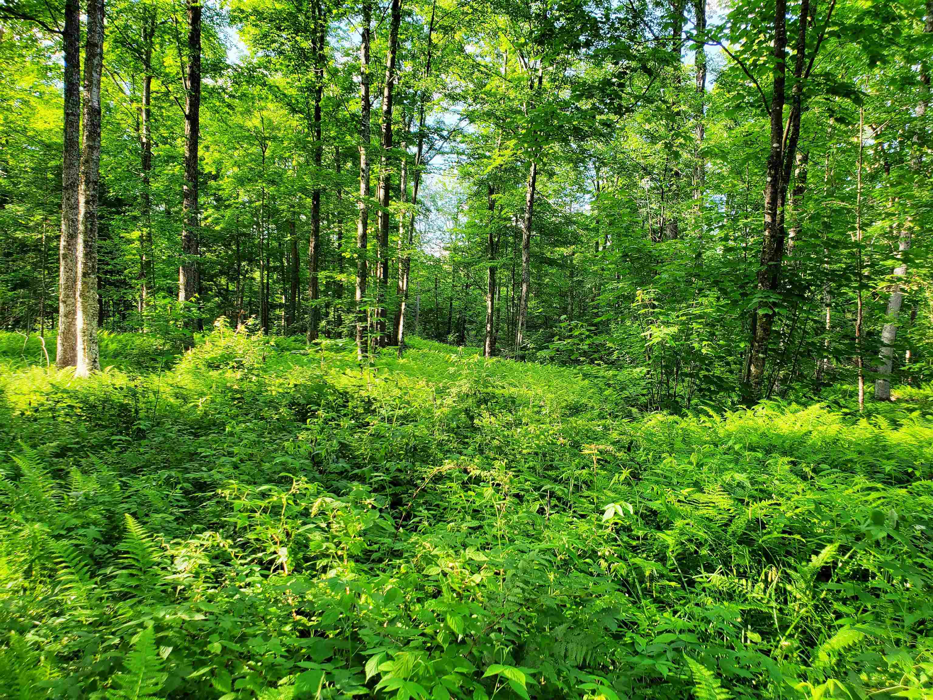 2690 Vt Route 105 Property Photo 29