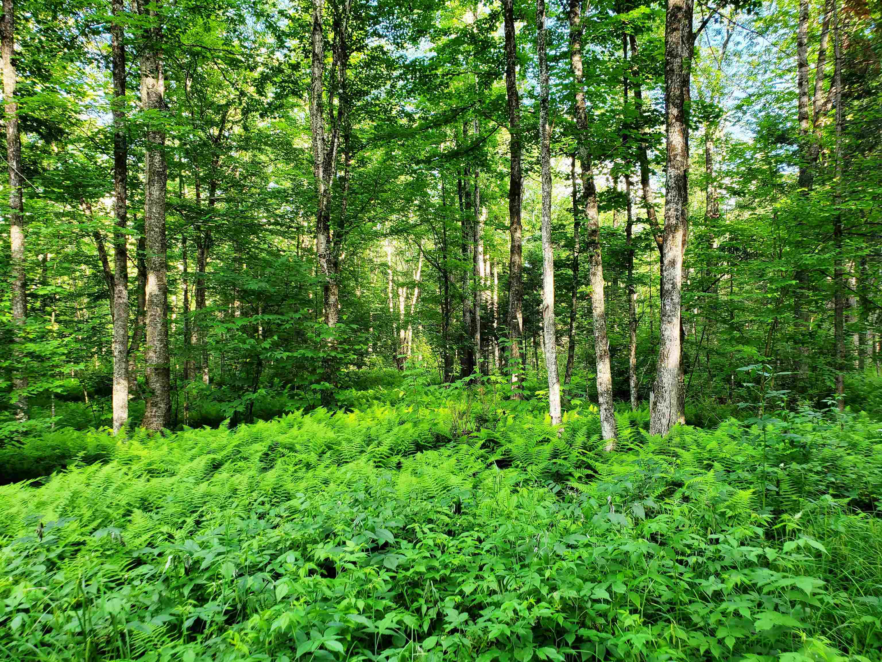 2690 Vt Route 105 Property Photo 30