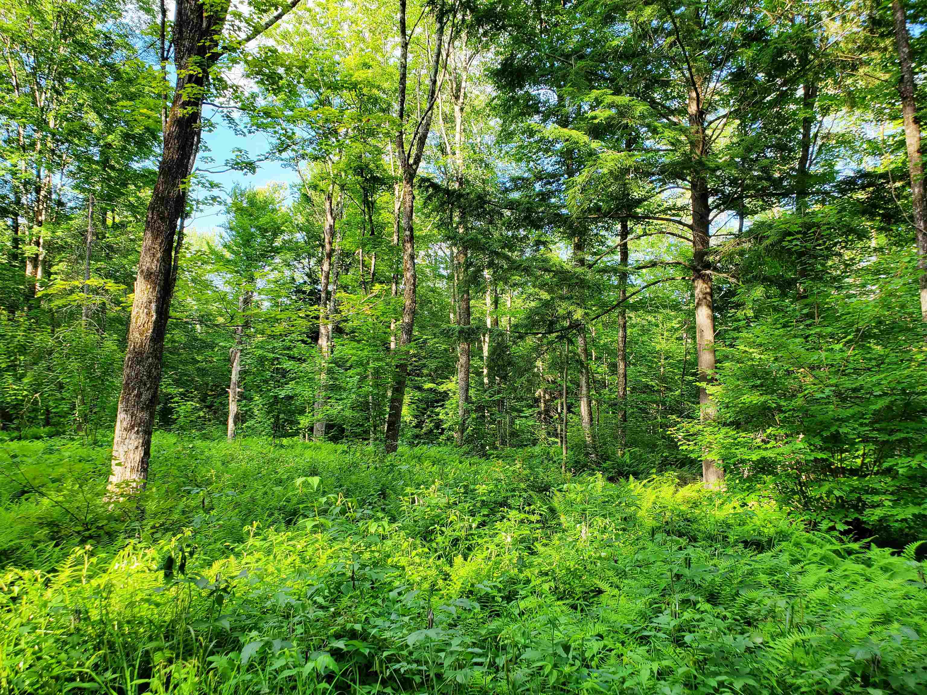 2690 Vt Route 105 Property Photo 31