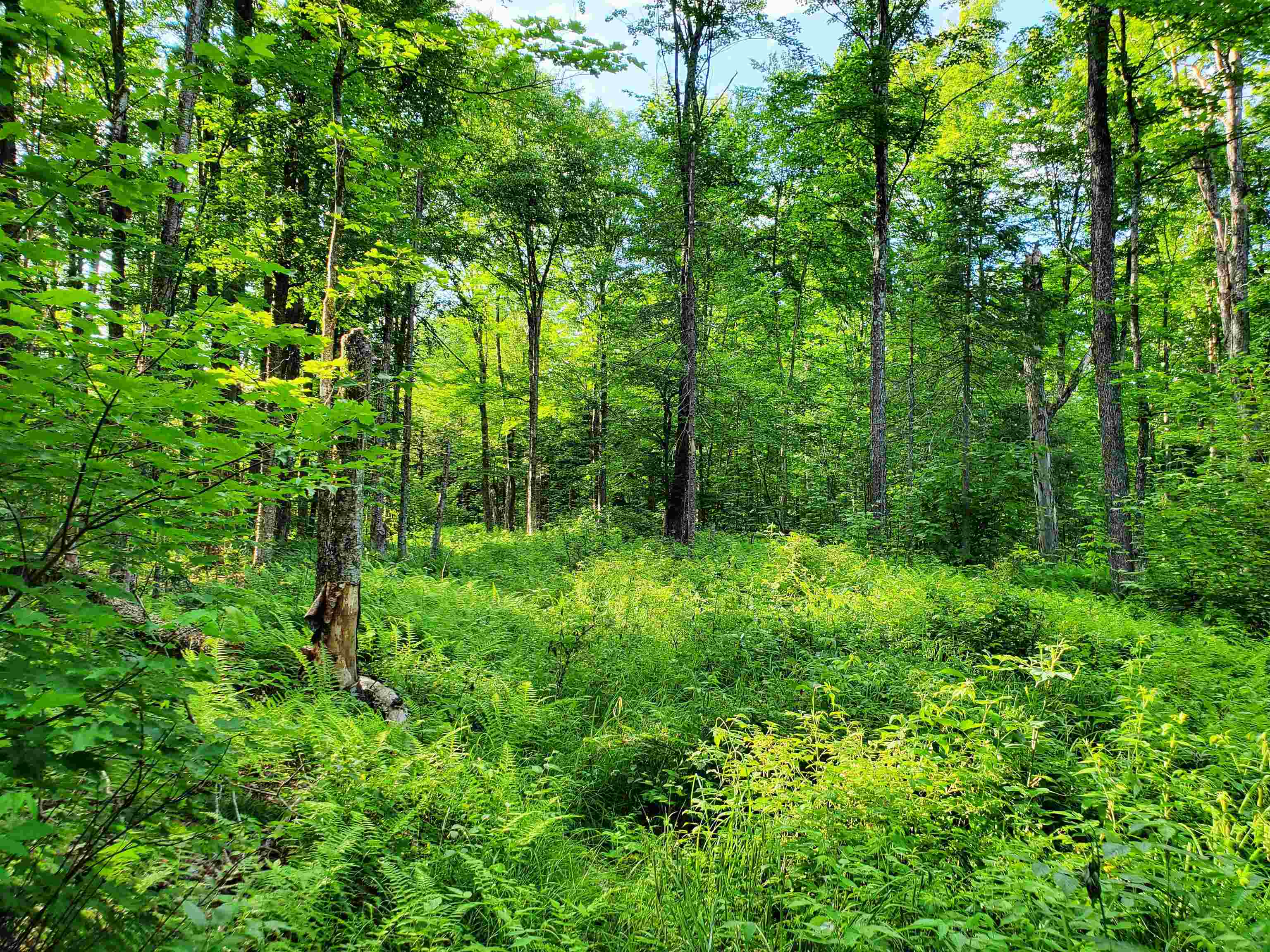 2690 Vt Route 105 Property Photo 32