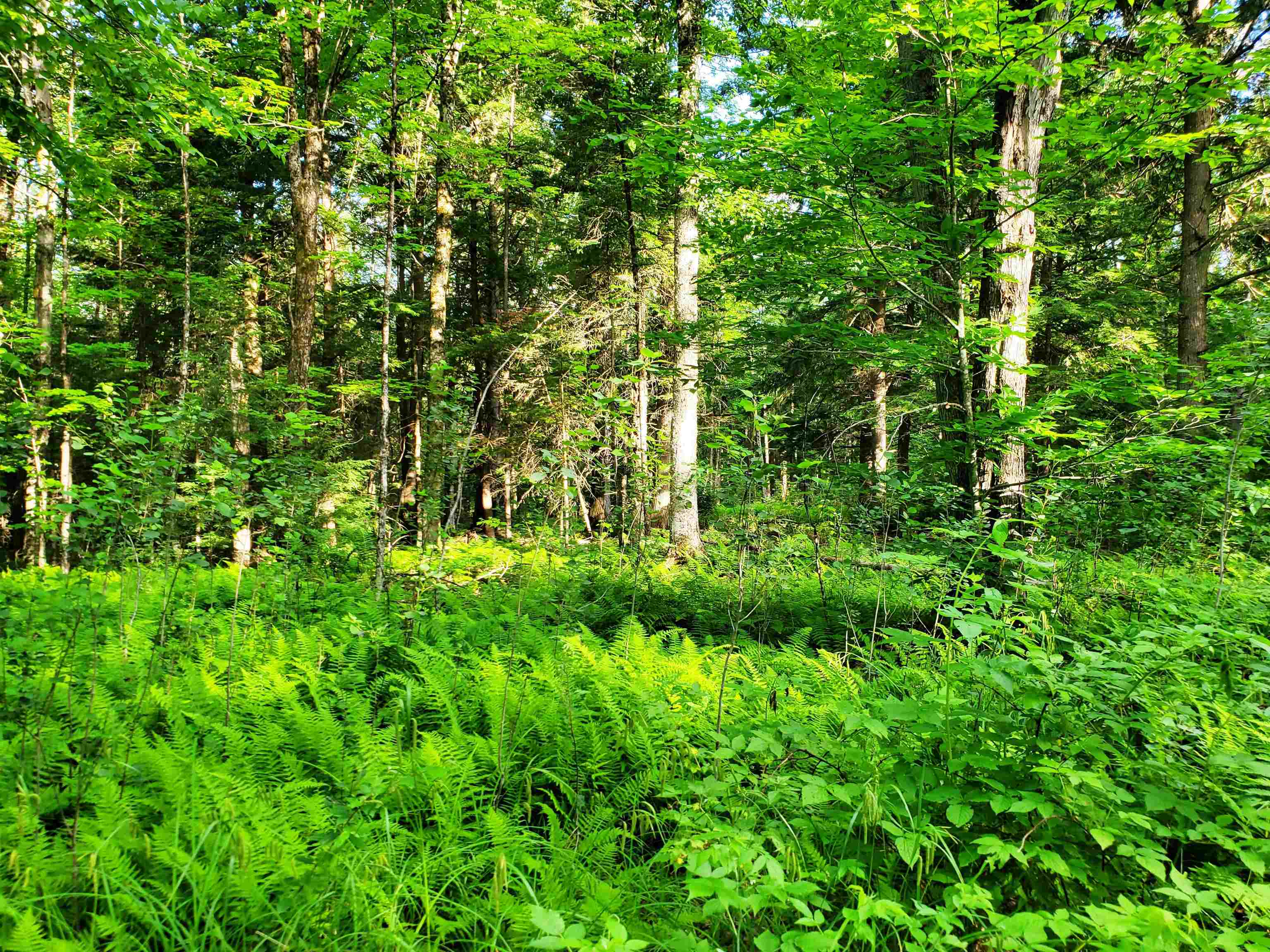 2690 Vt Route 105 Property Photo 33