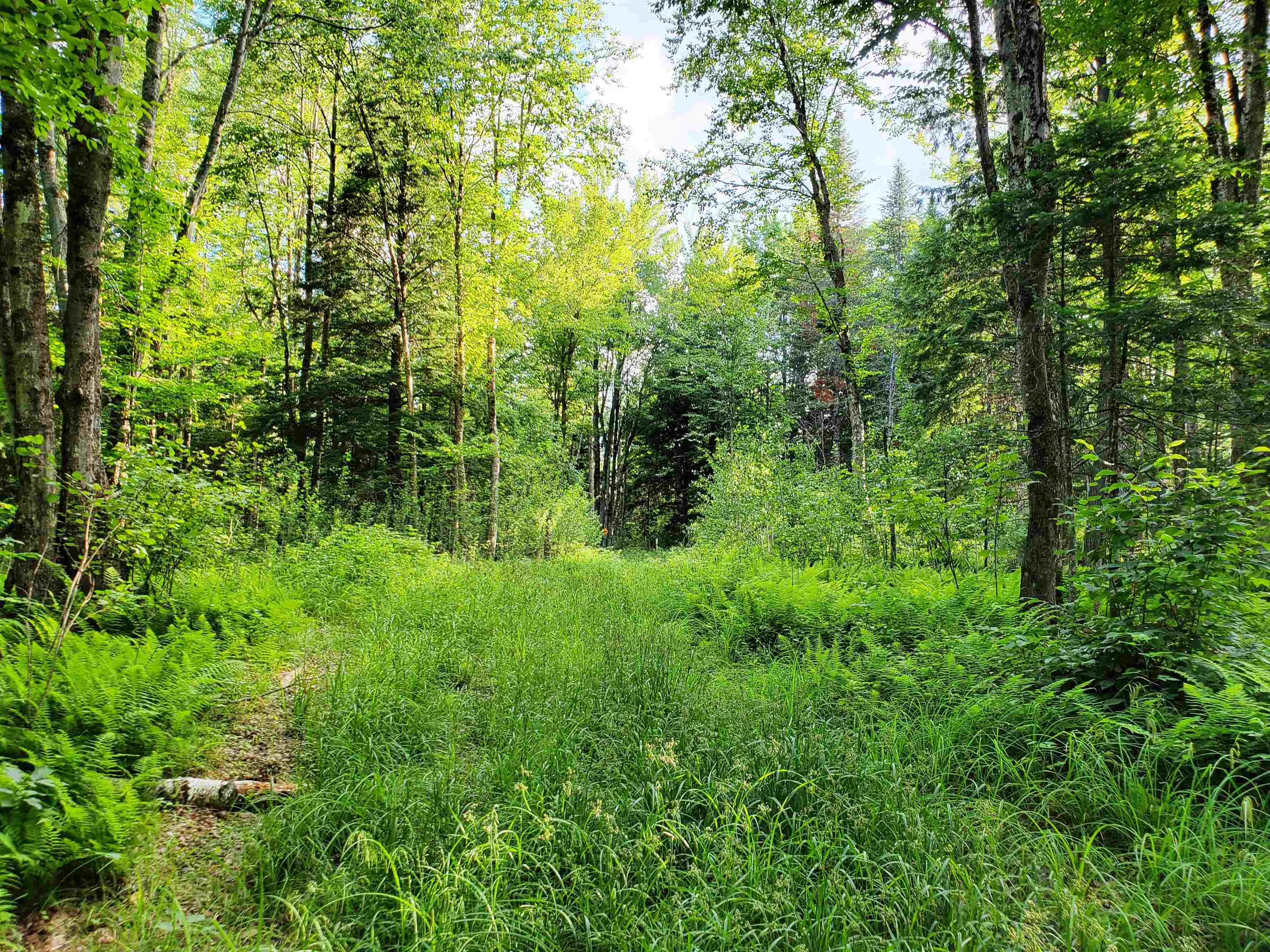 2690 Vt Route 105 Property Photo 34