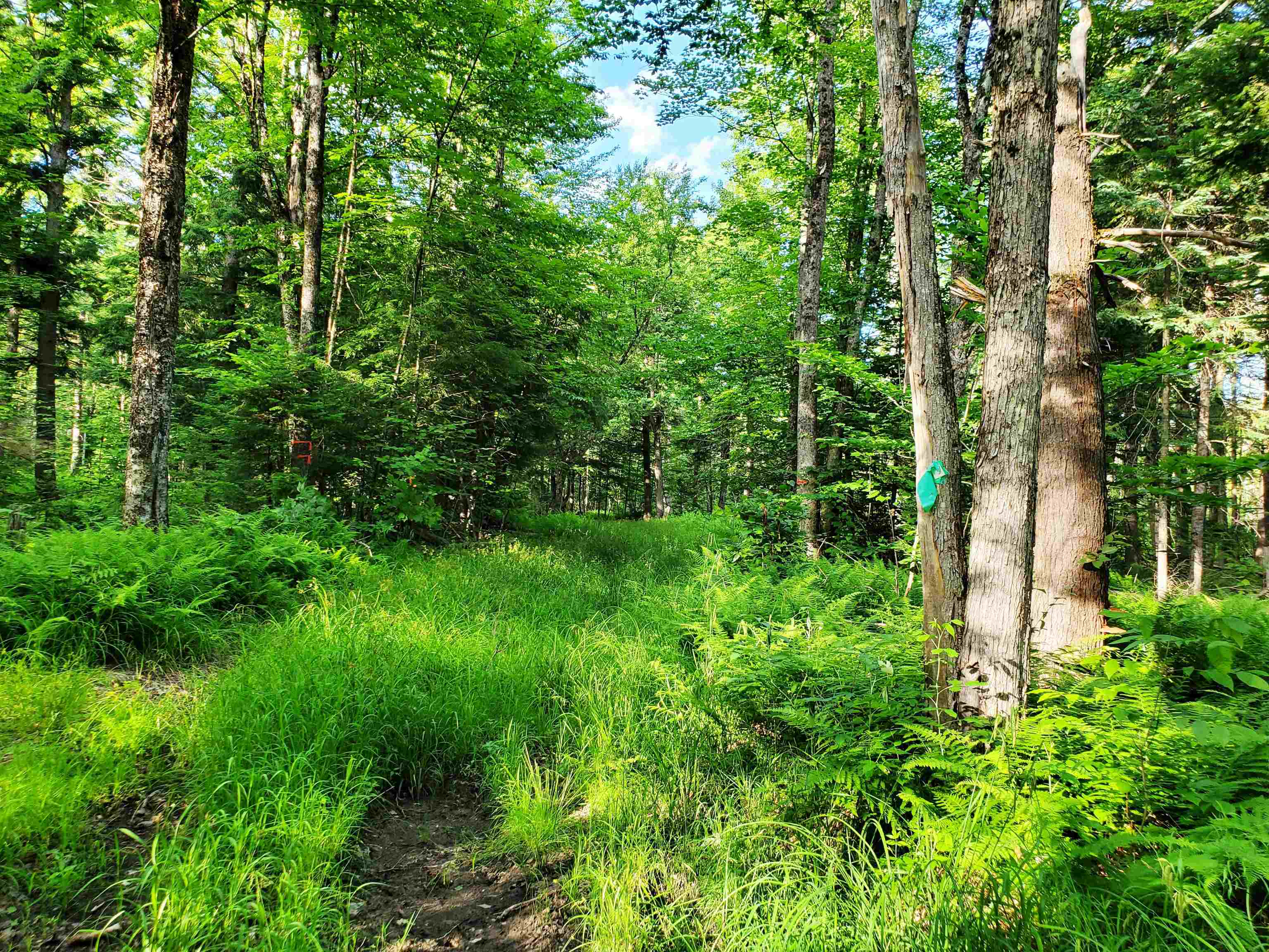 2690 Vt Route 105 Property Photo 35