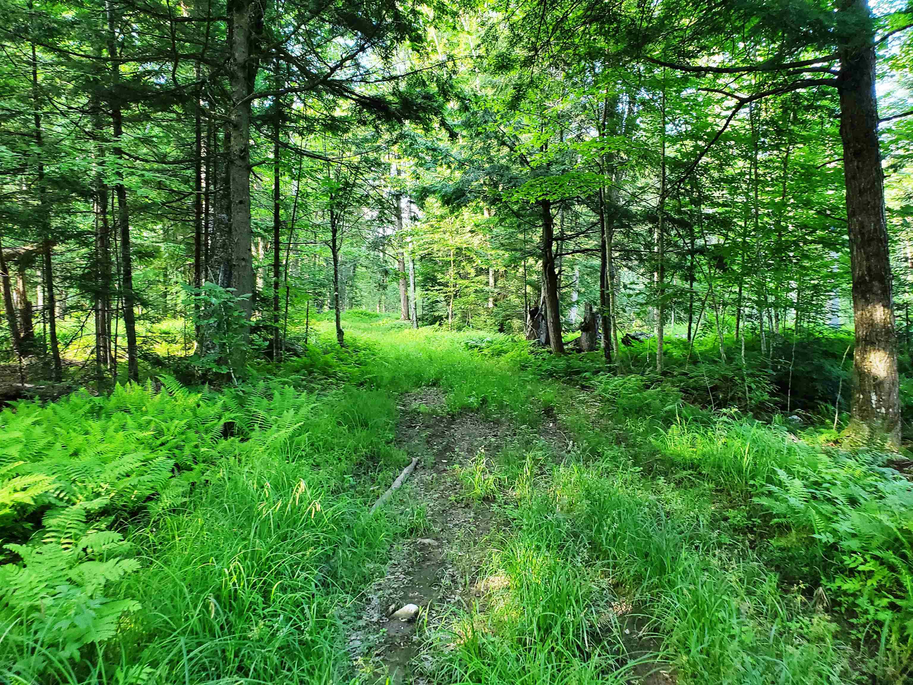 2690 Vt Route 105 Property Photo 36