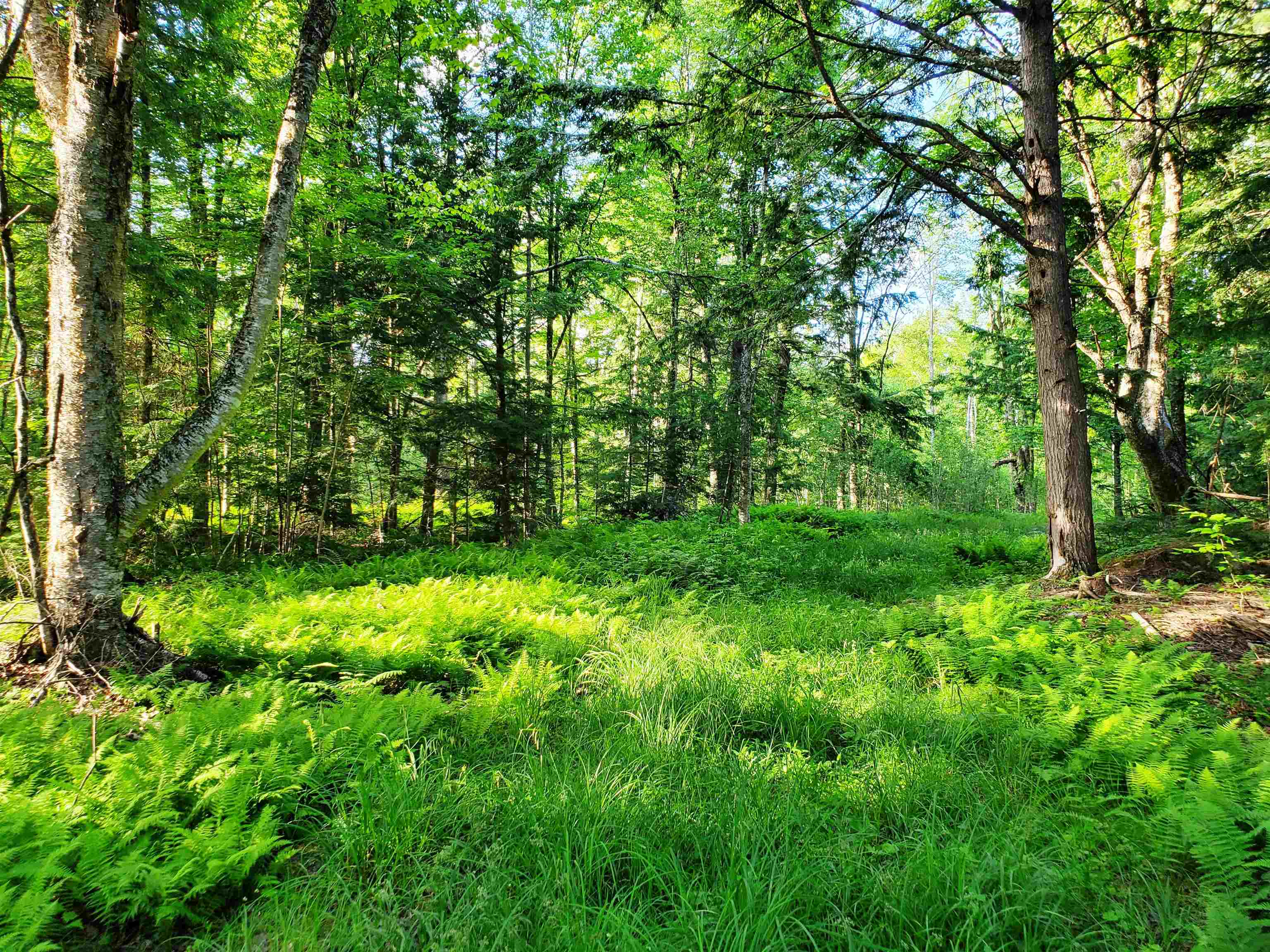 2690 Vt Route 105 Property Photo 38