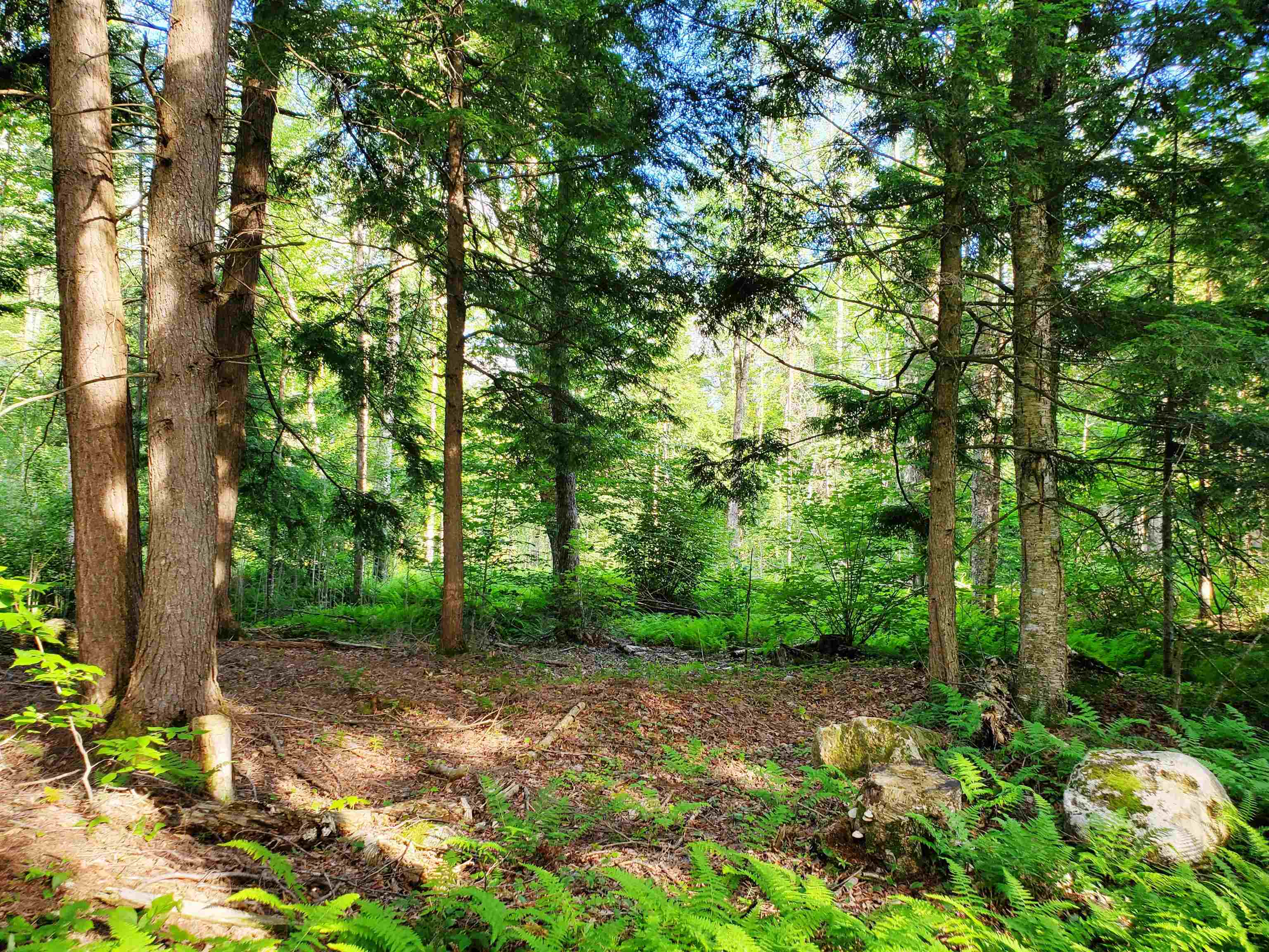2690 Vt Route 105 Property Photo 39