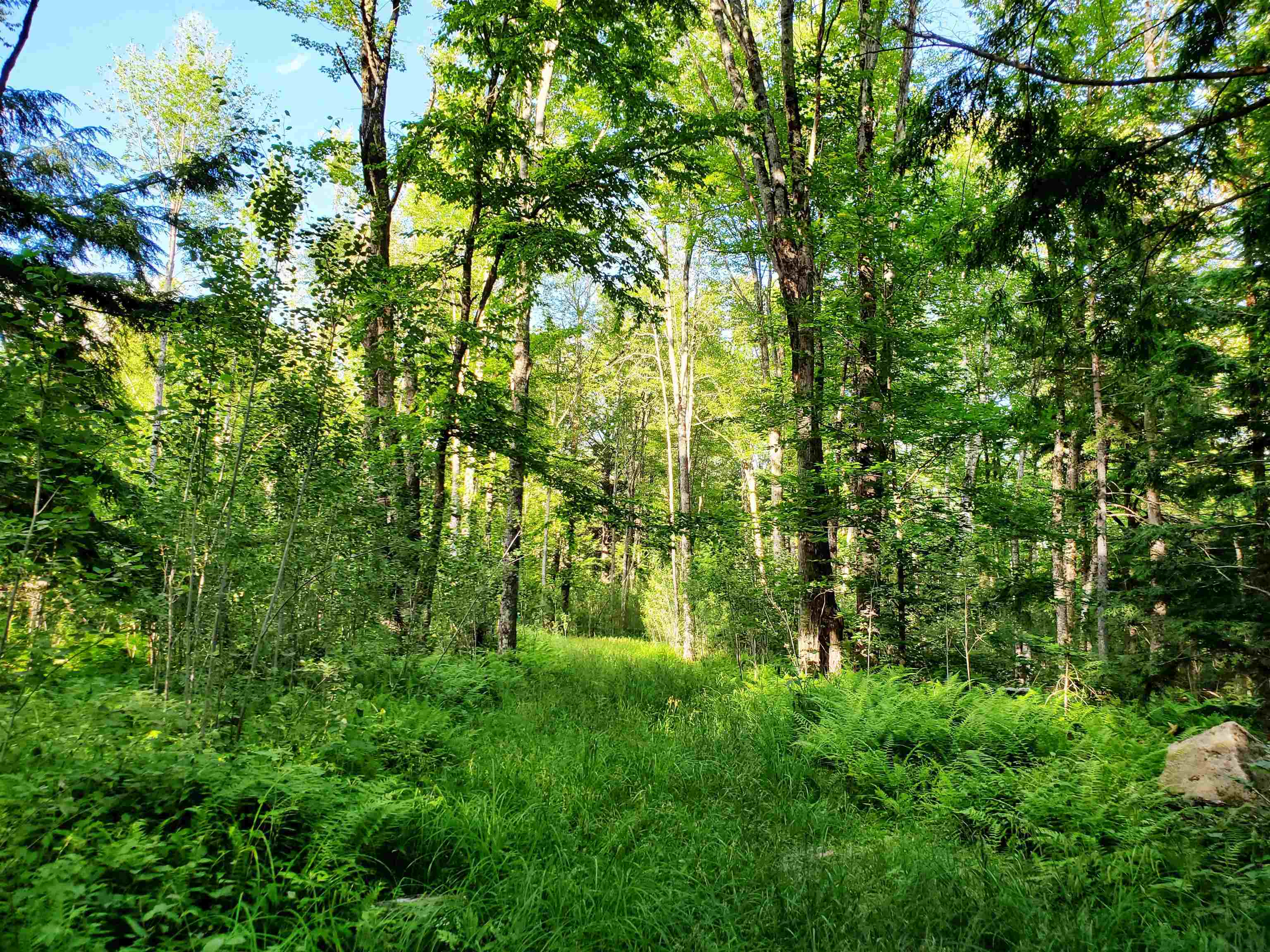 2690 Vt Route 105 Property Photo 40