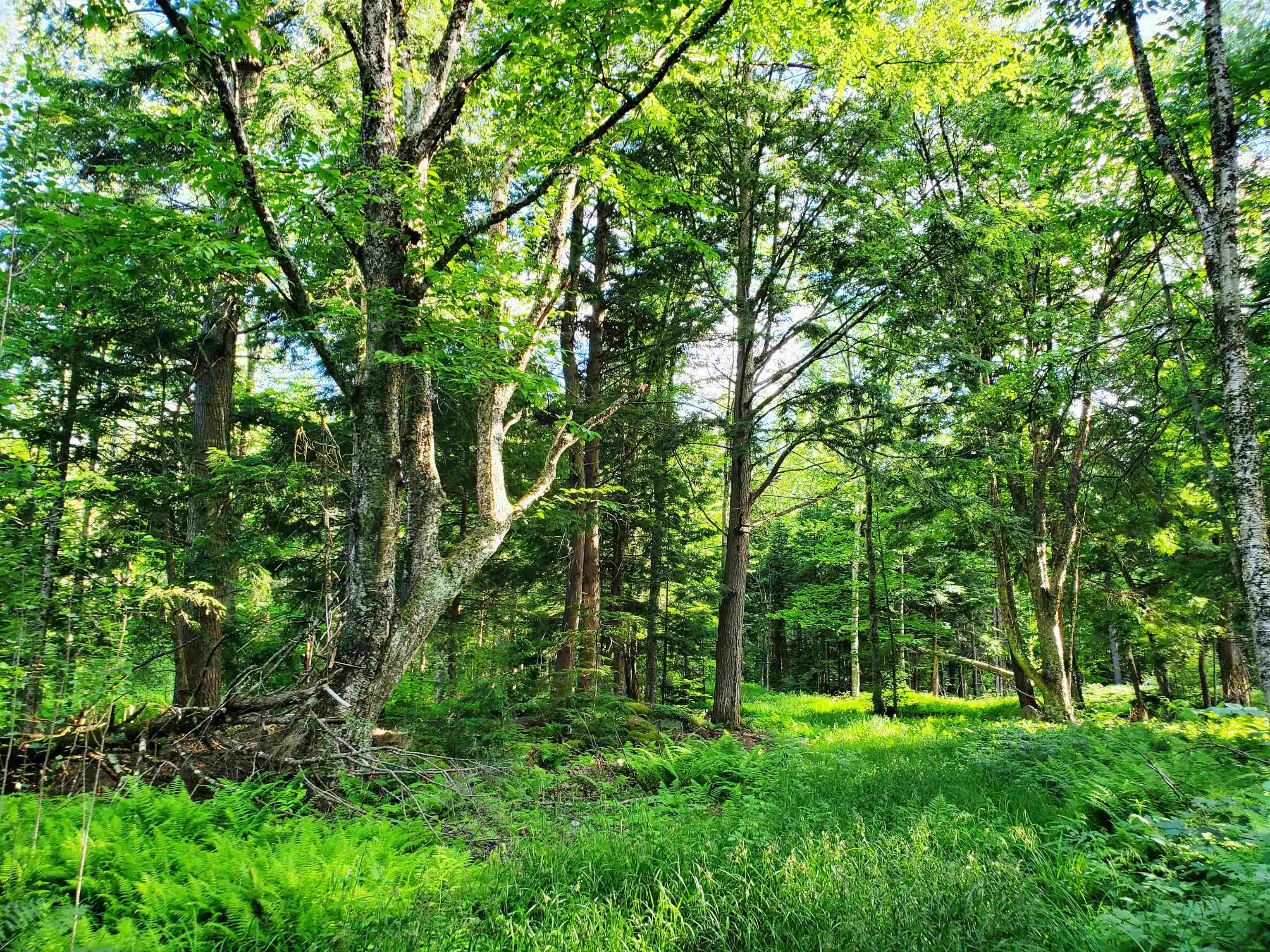 2690 Vt Route 105 Property Photo 41