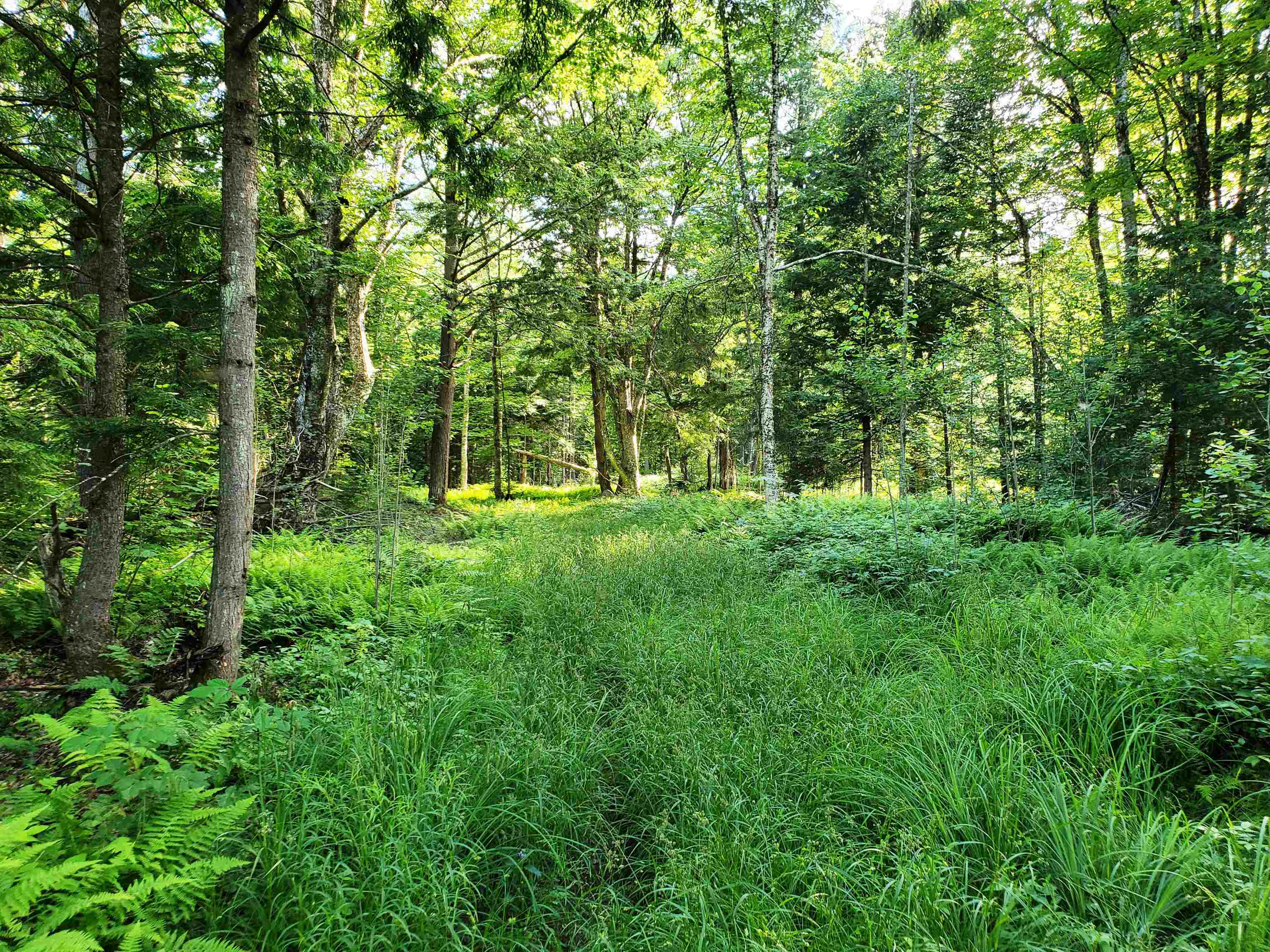 2690 Vt Route 105 Property Photo 42