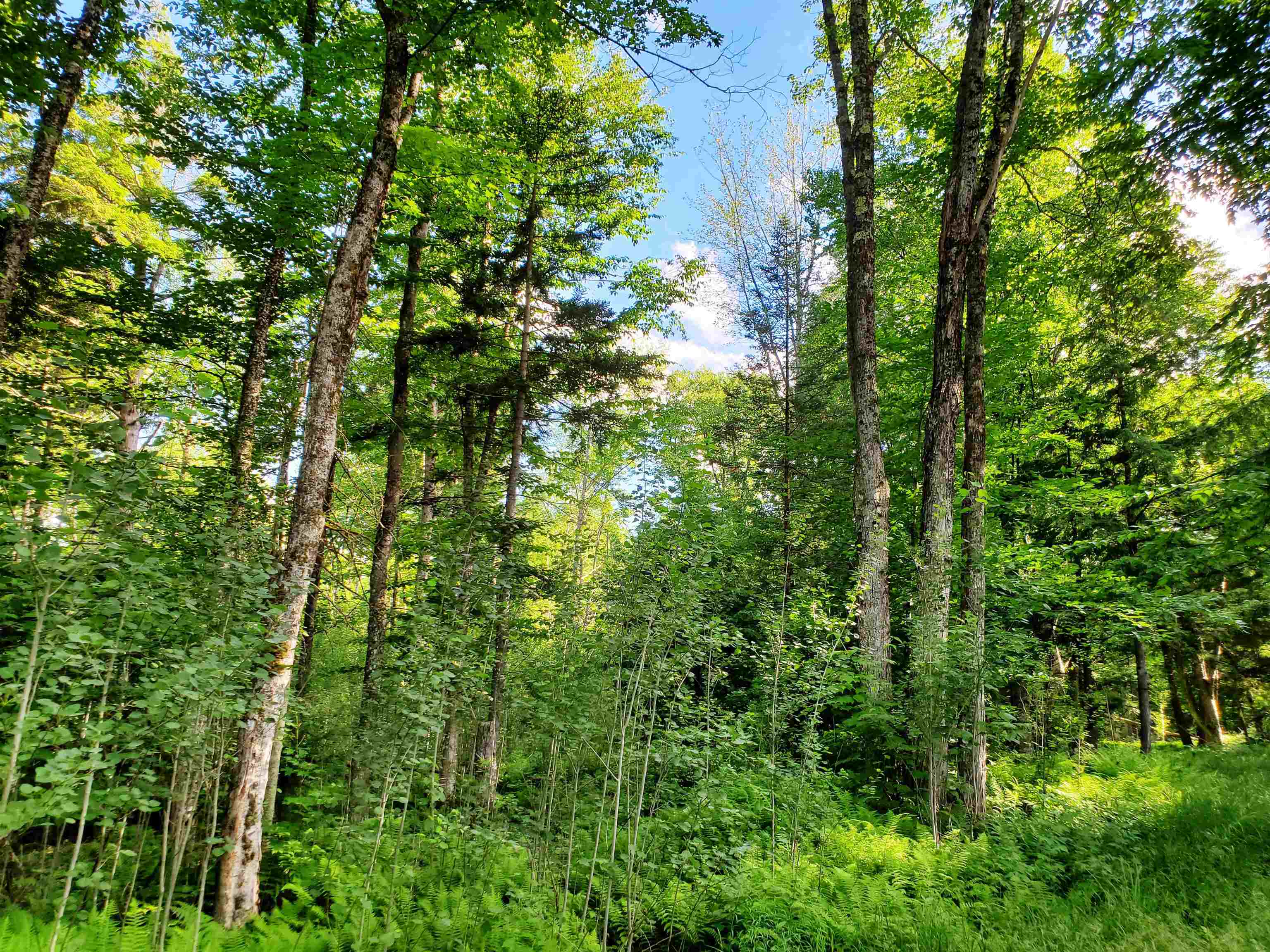 2690 Vt Route 105 Property Photo 43