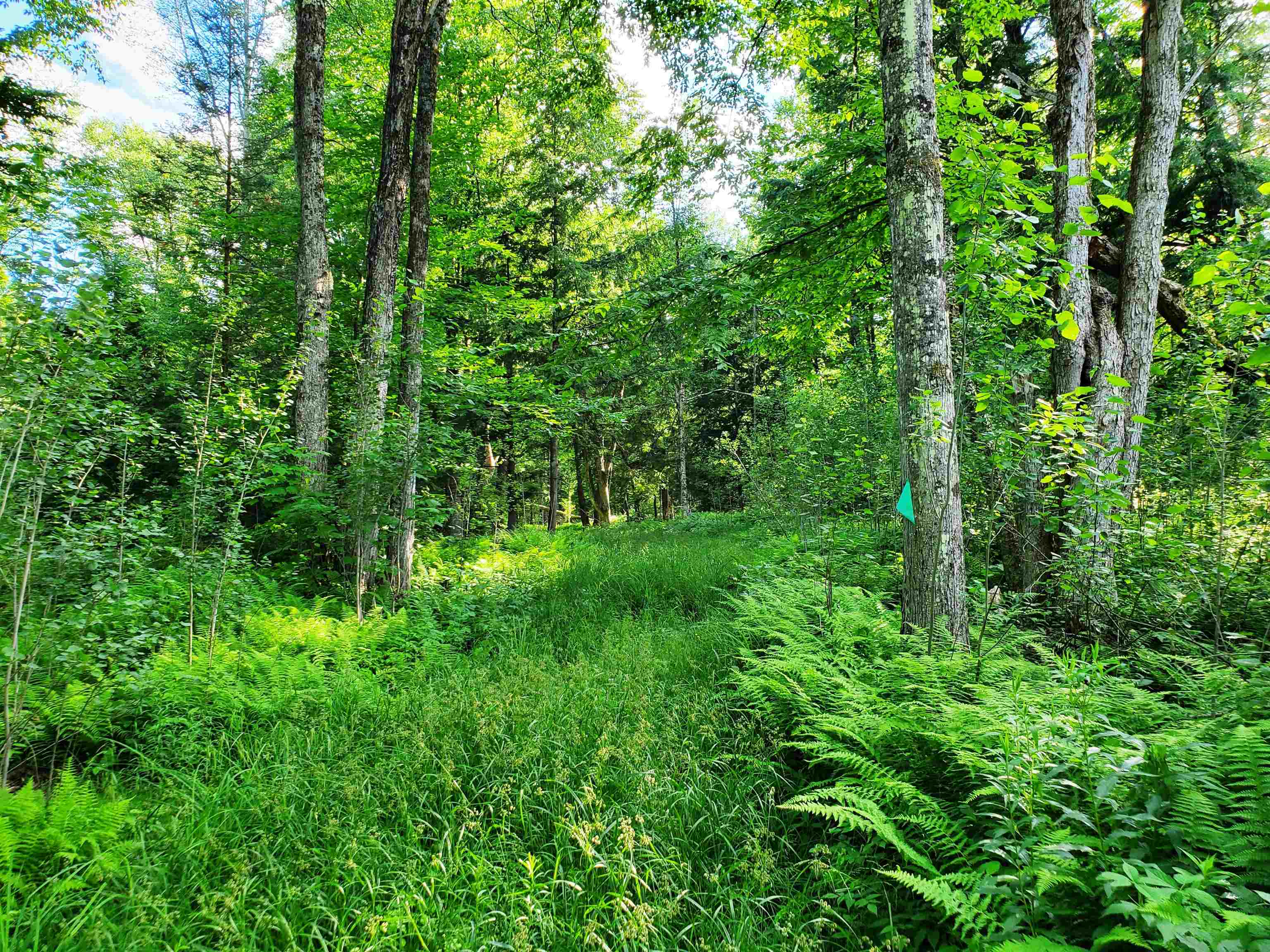 2690 Vt Route 105 Property Photo 44