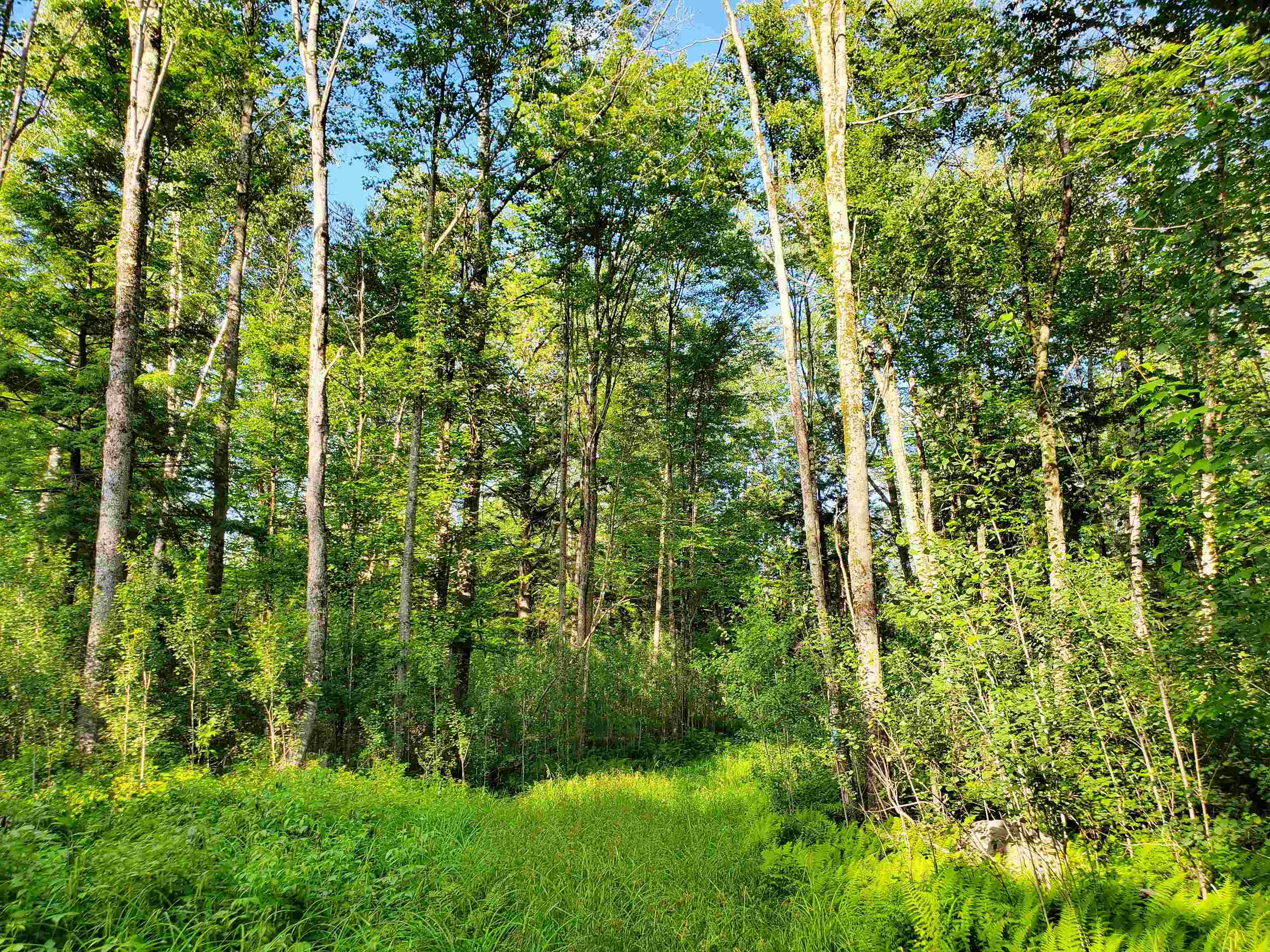 2690 Vt Route 105 Property Photo 45