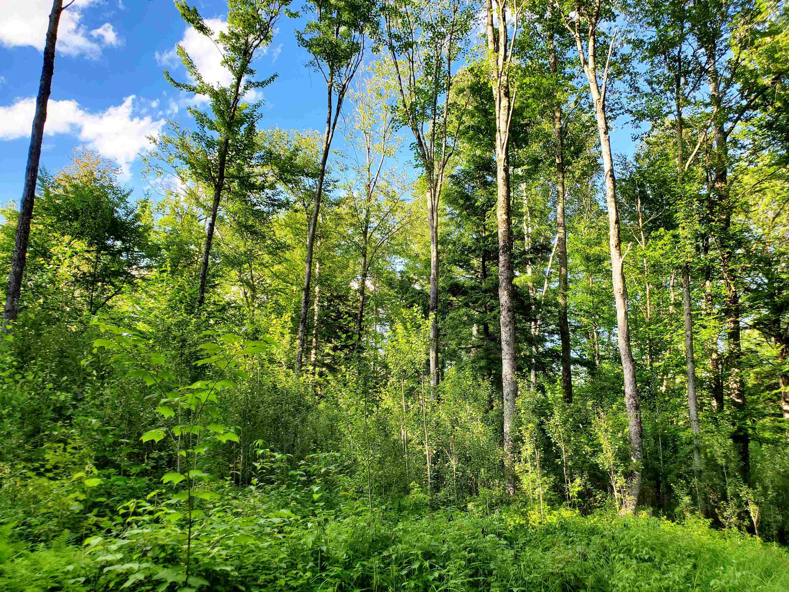 2690 Vt Route 105 Property Photo 46