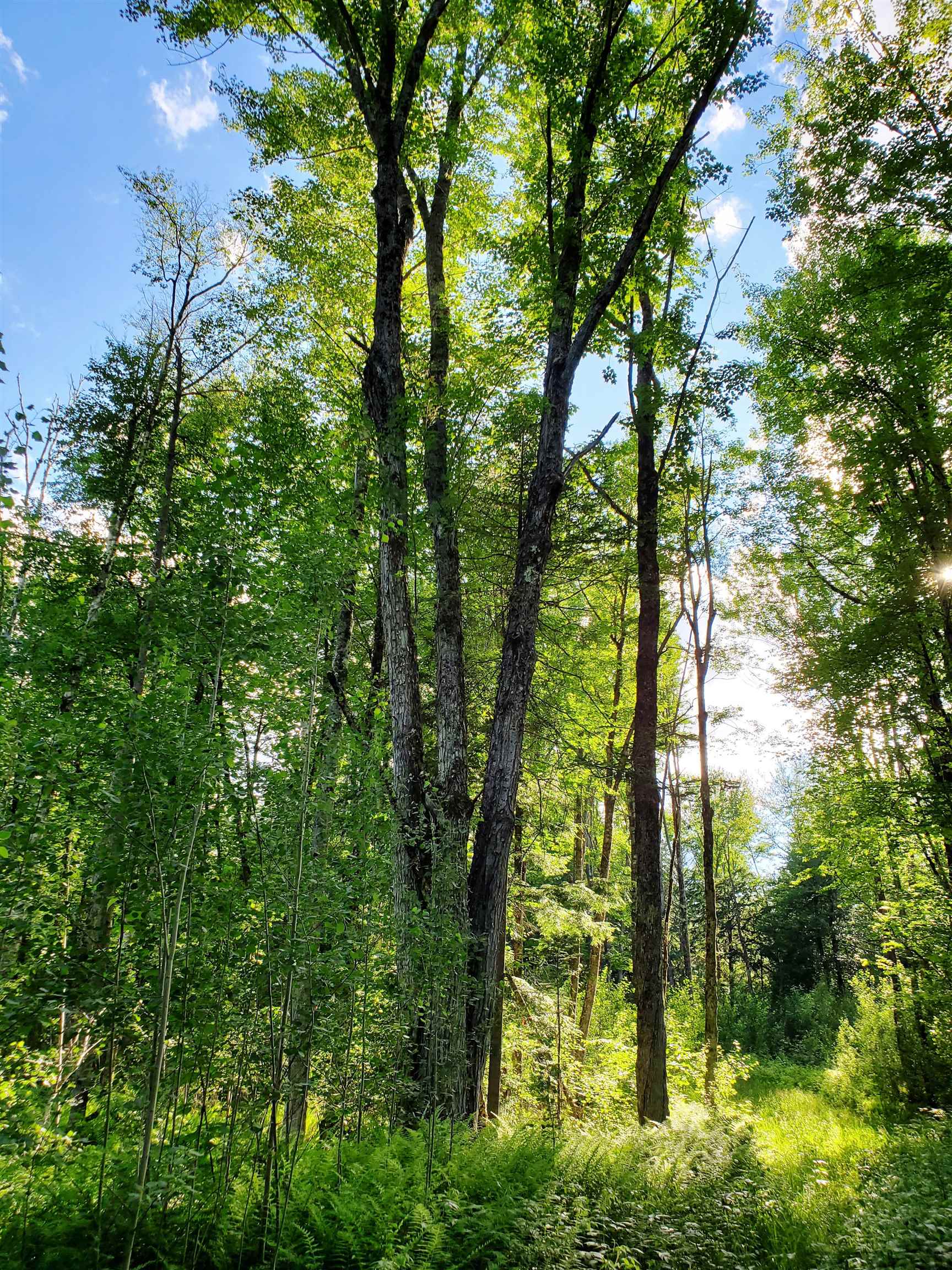 2690 Vt Route 105 Property Photo 47