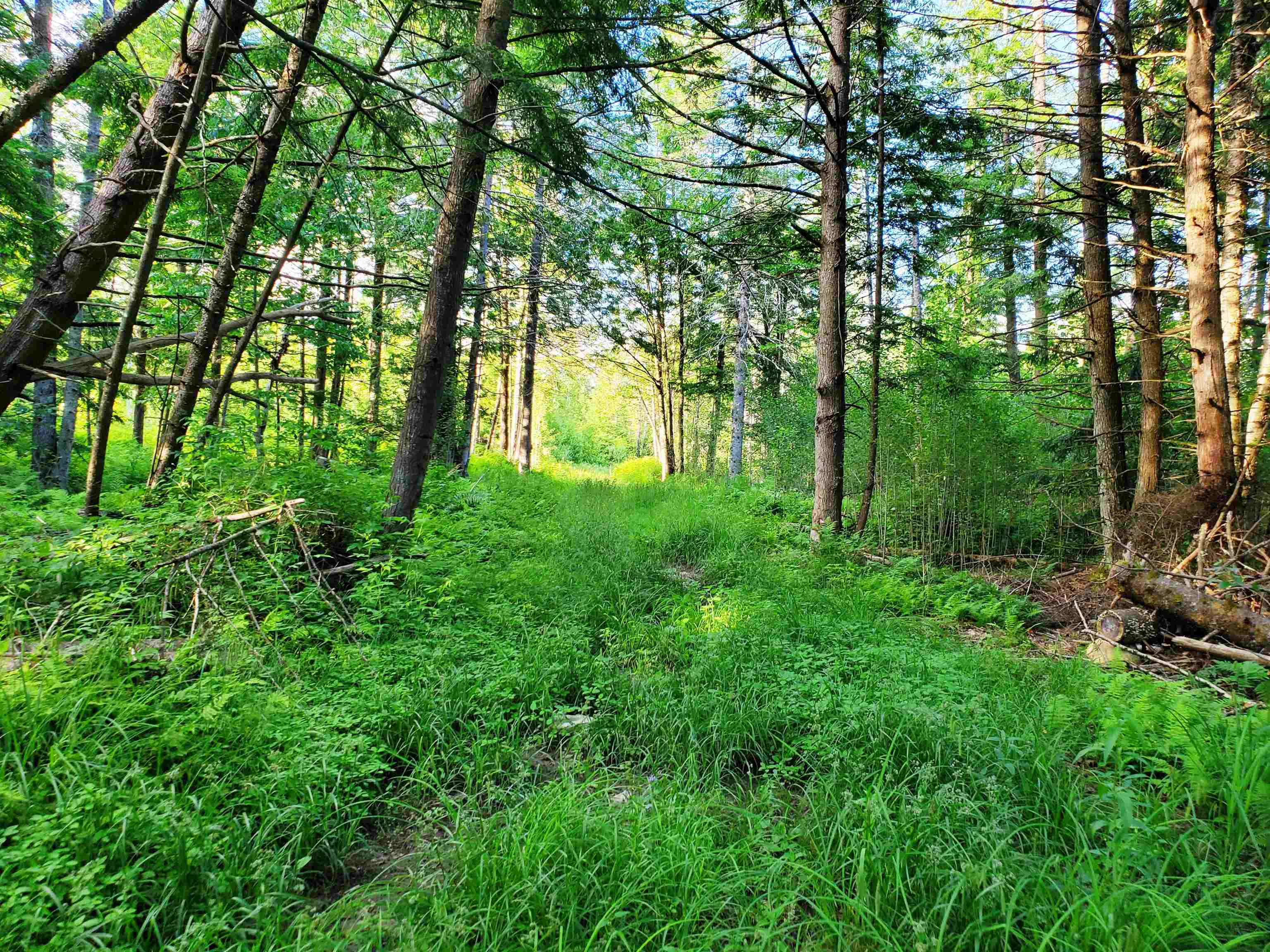 2690 Vt Route 105 Property Photo 48