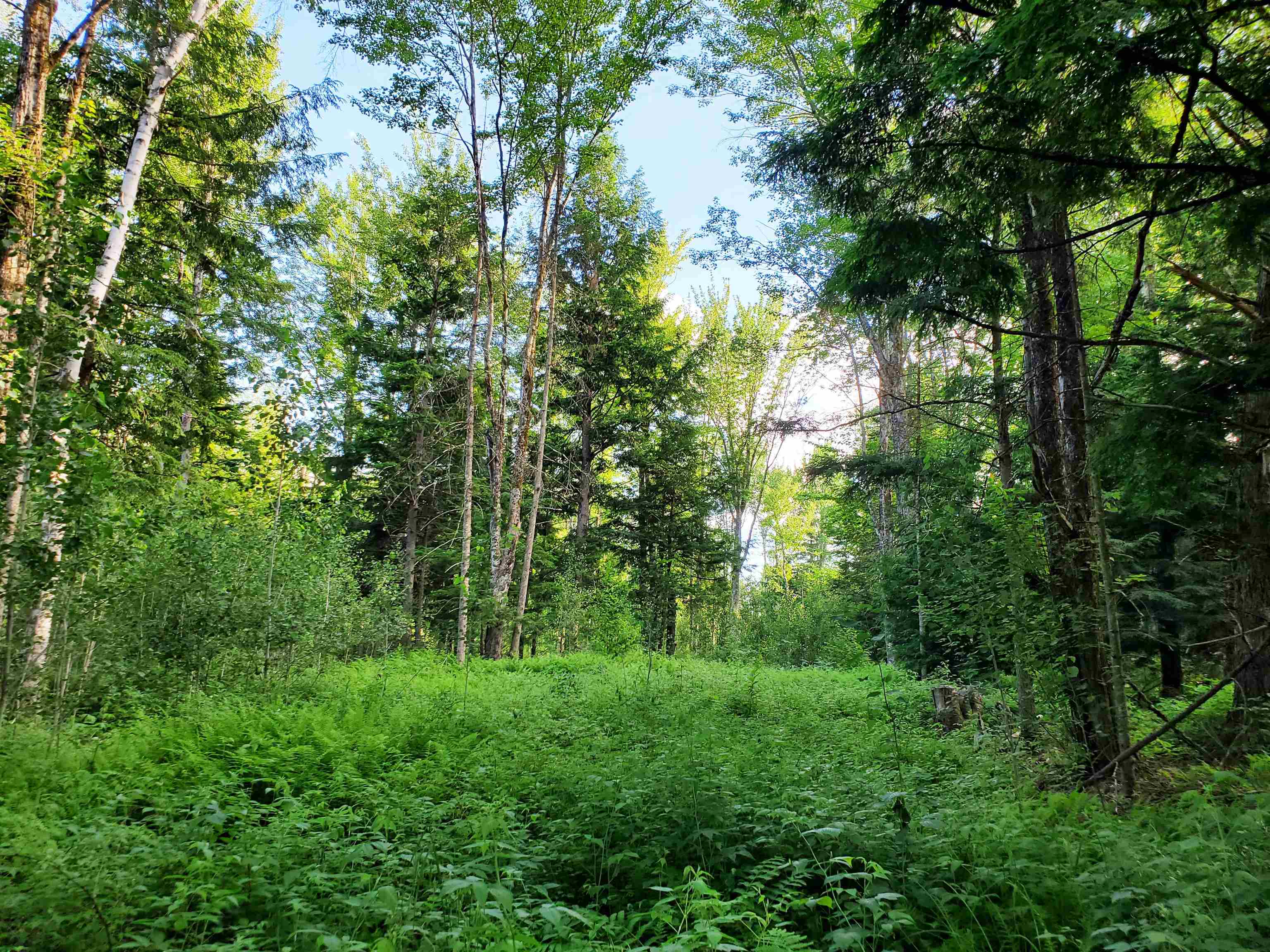 2690 Vt Route 105 Property Photo 49