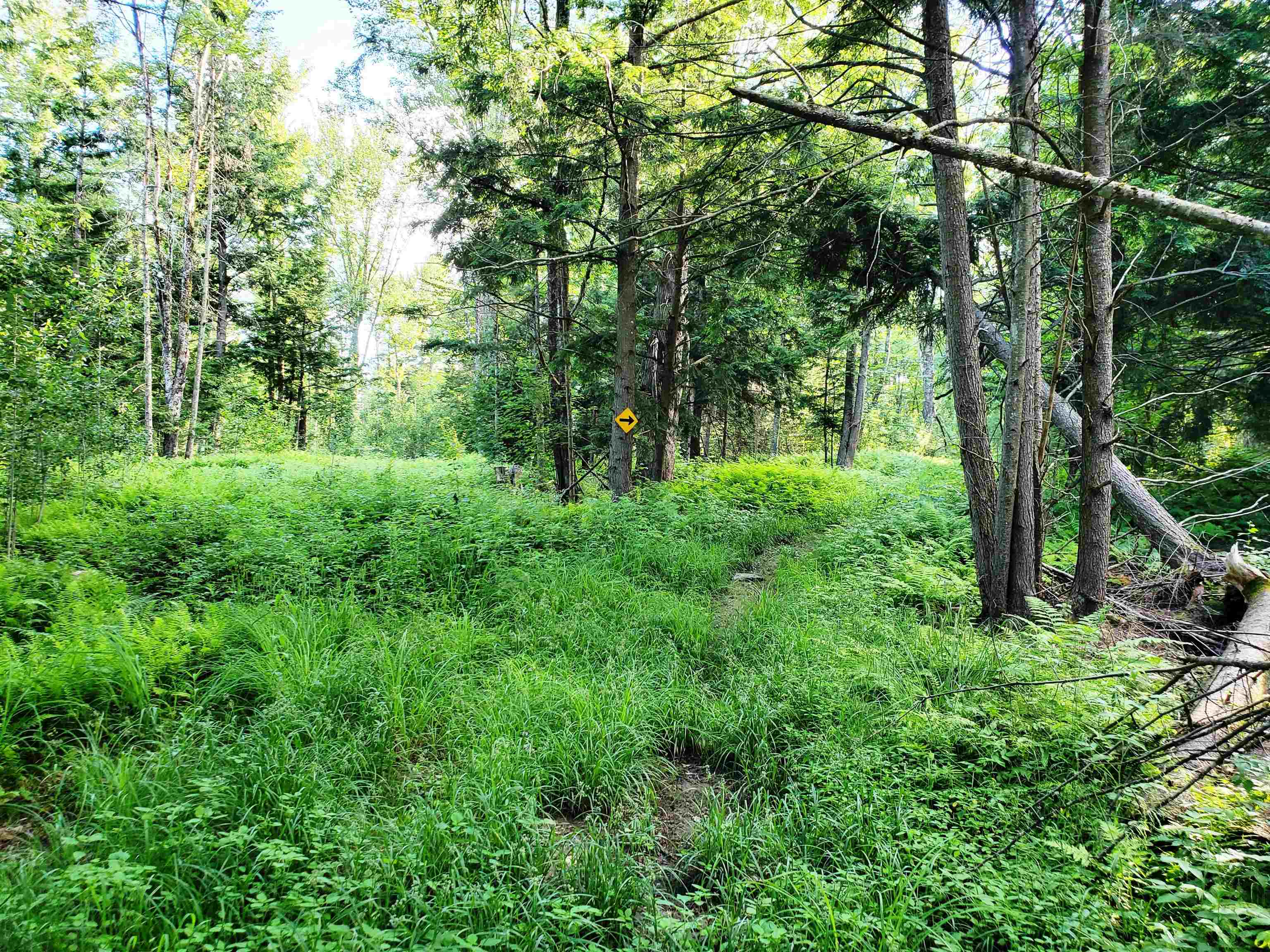 2690 Vt Route 105 Property Photo 50