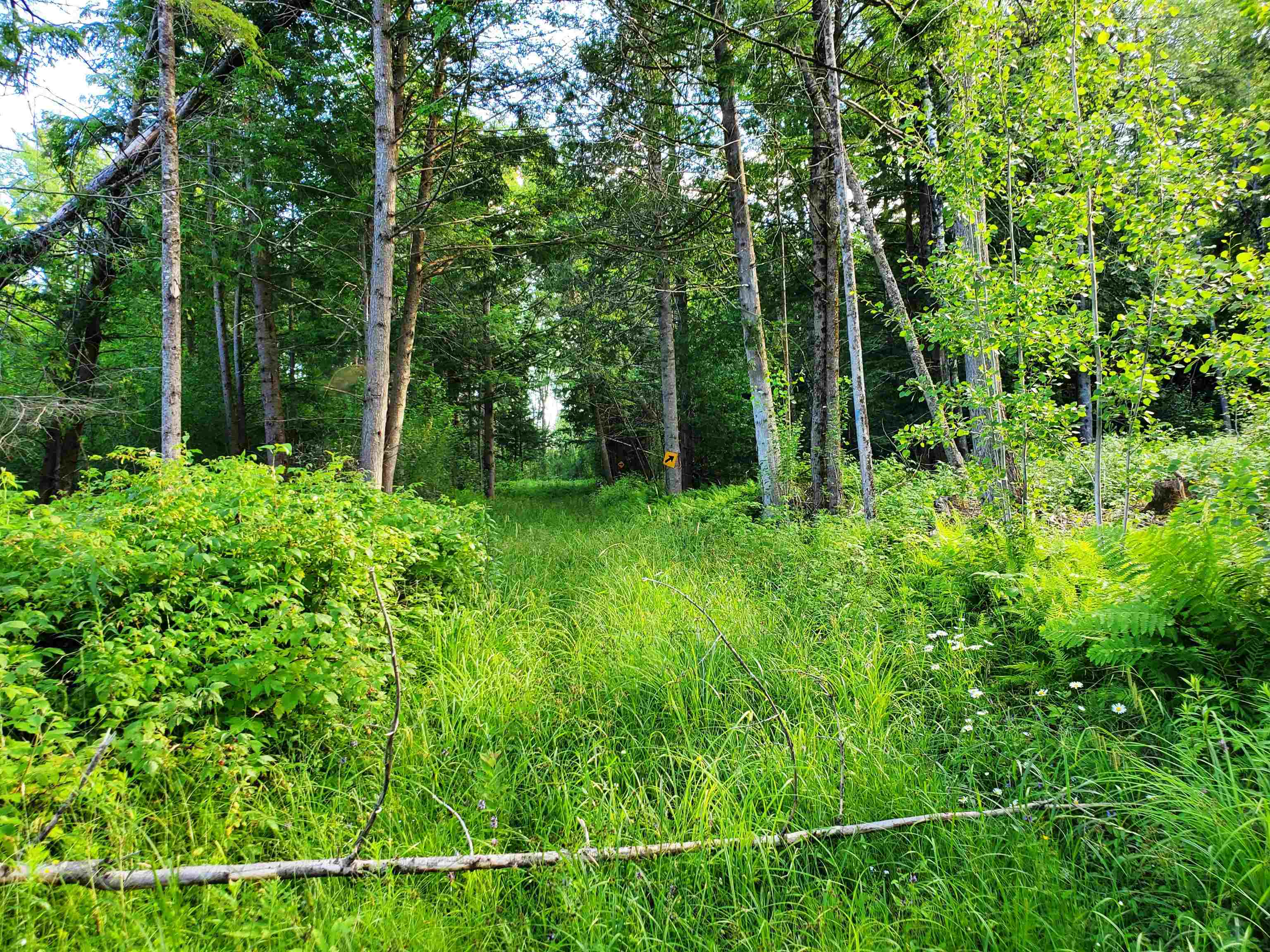 2690 Vt Route 105 Property Photo 51