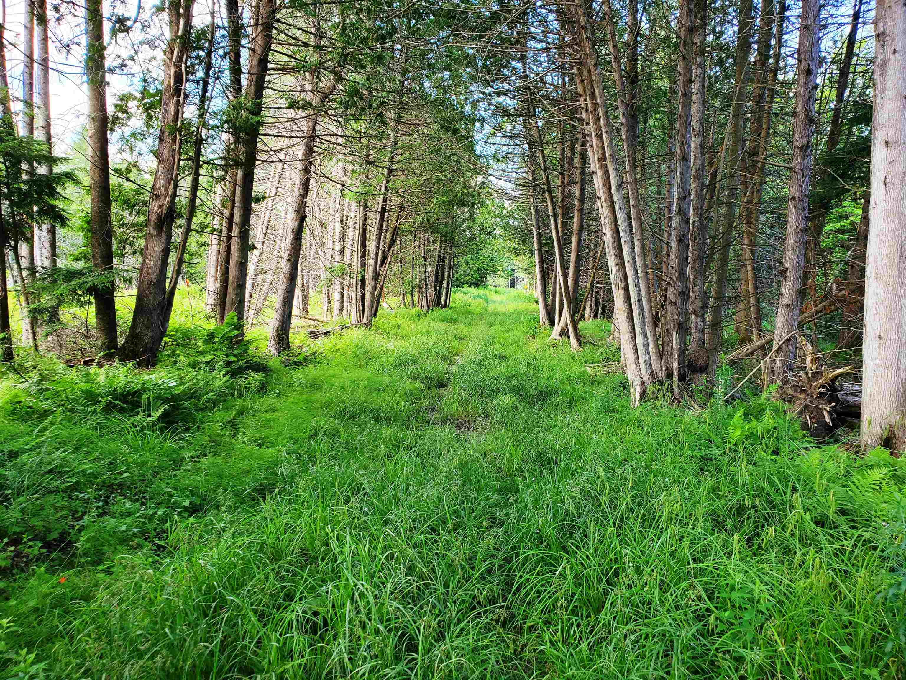 2690 Vt Route 105 Property Photo 52
