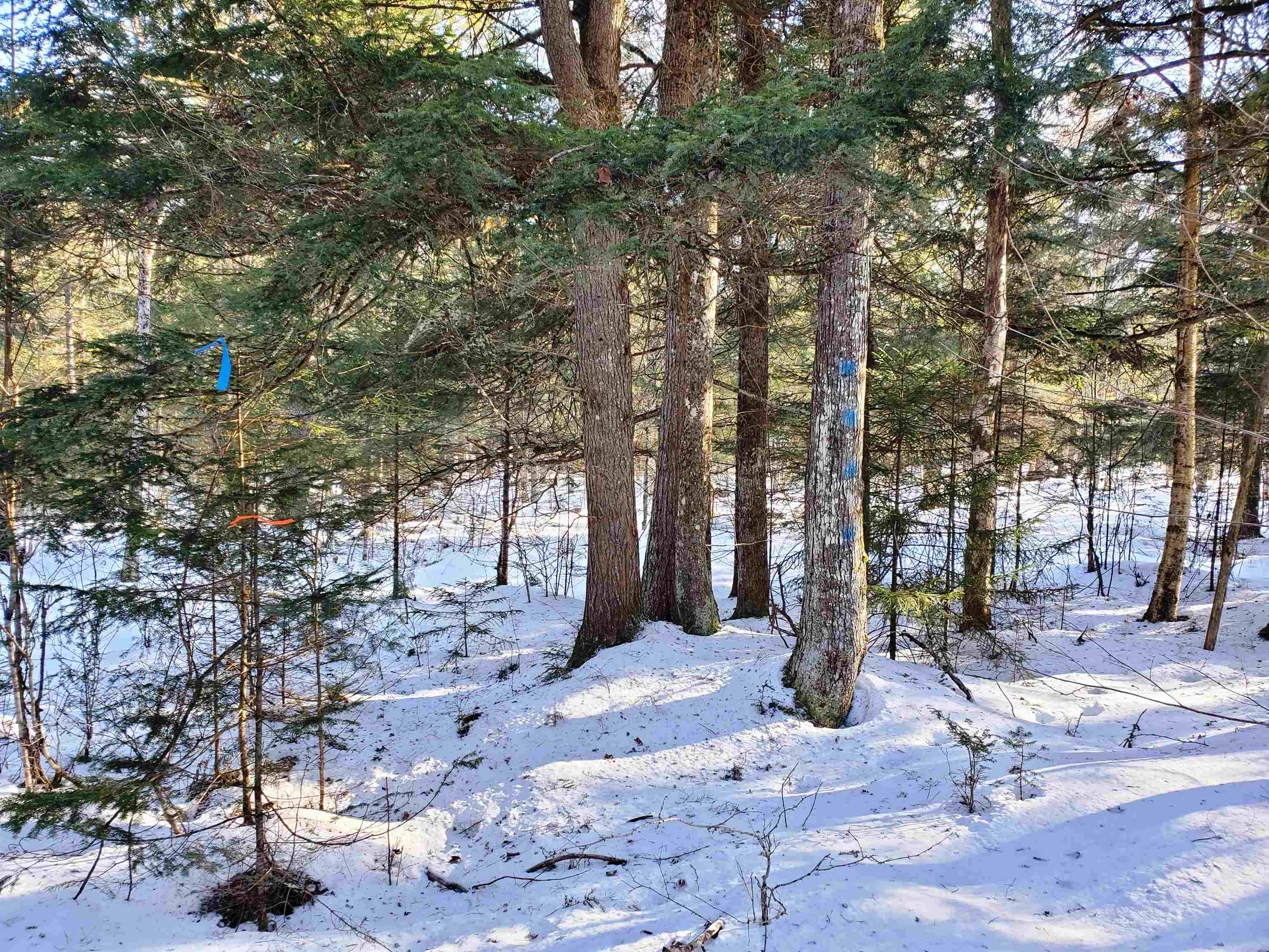 2690 Vt Route 105 Property Photo 58