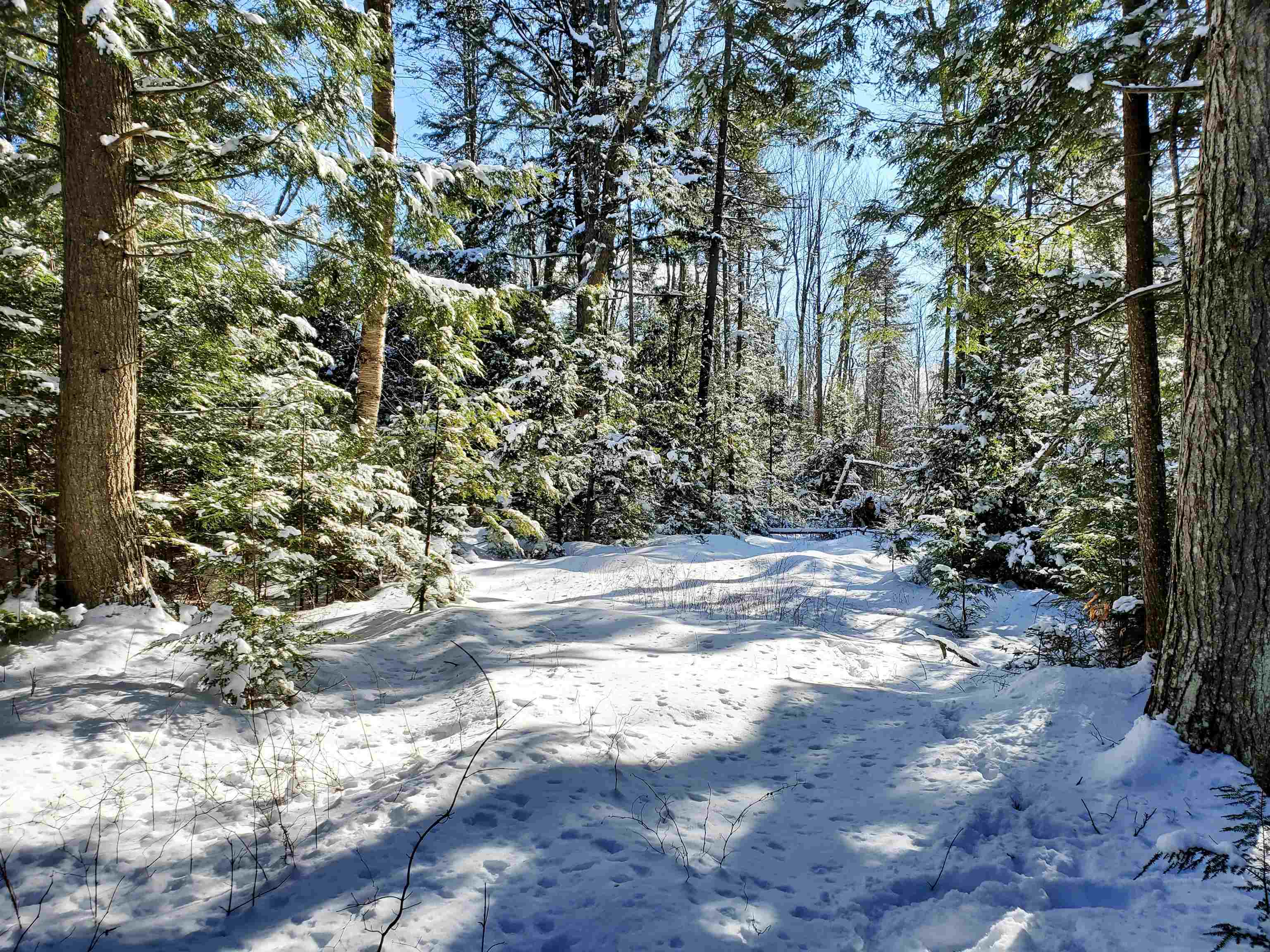 2690 Vt Route 105 Property Photo 59