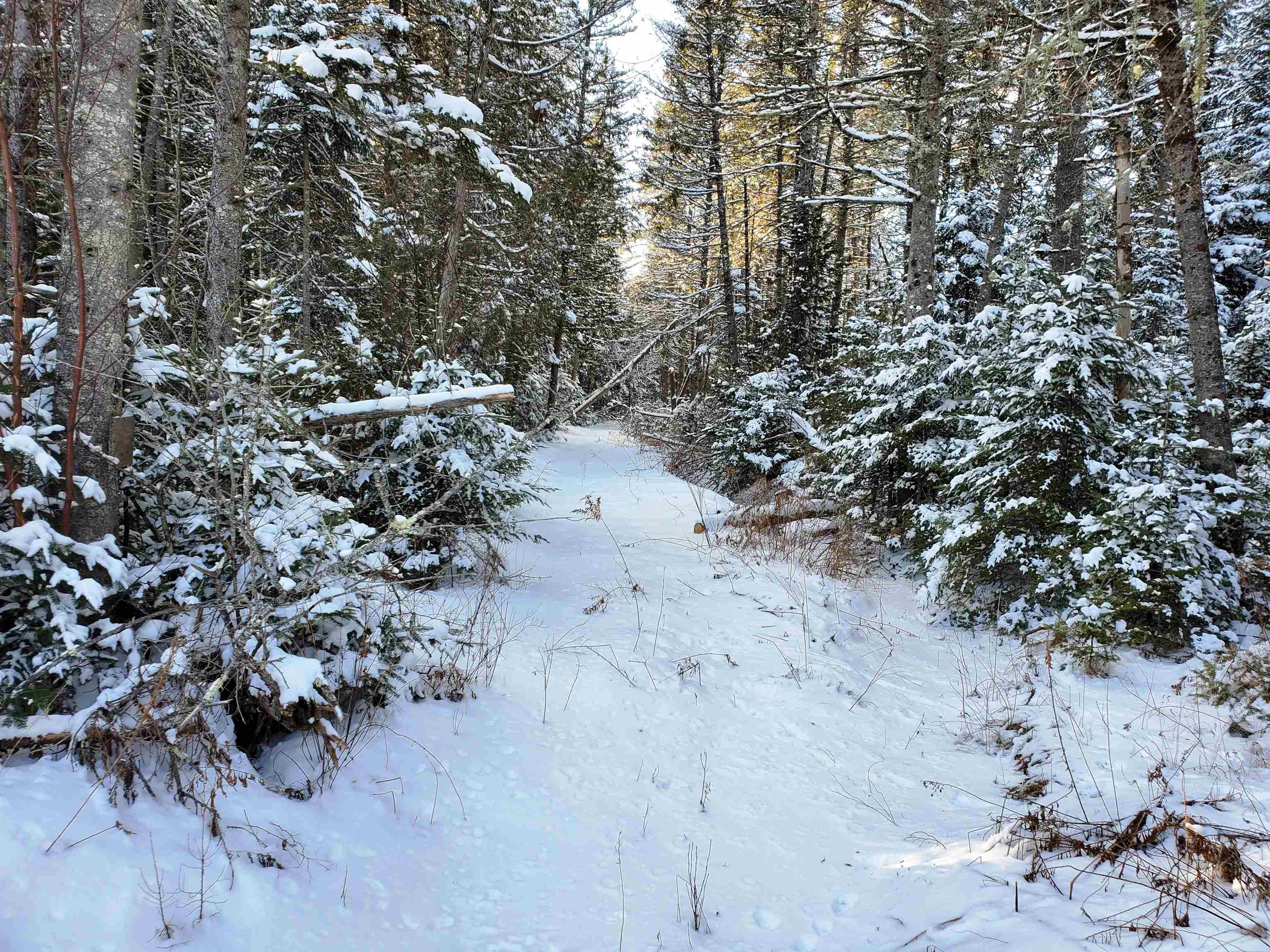 2690 Vt Route 105 Property Photo 60