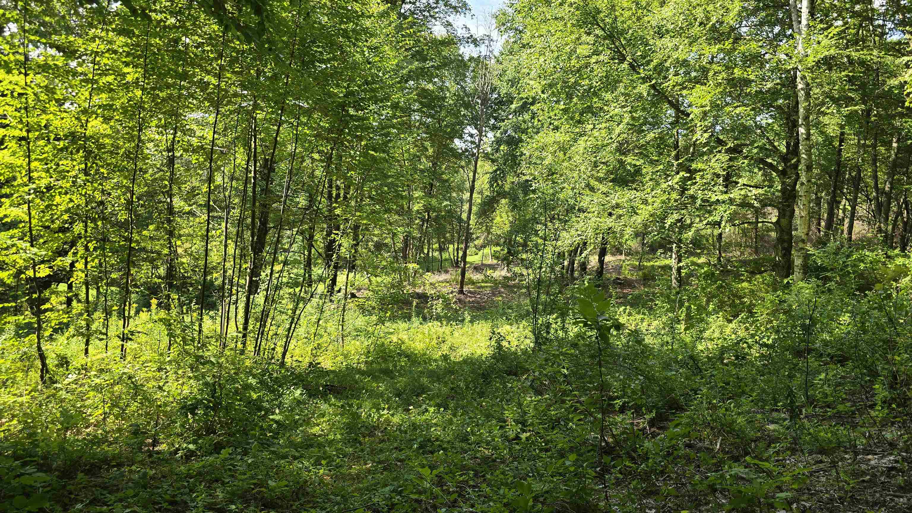 284 Elm Hill Property Photo 38