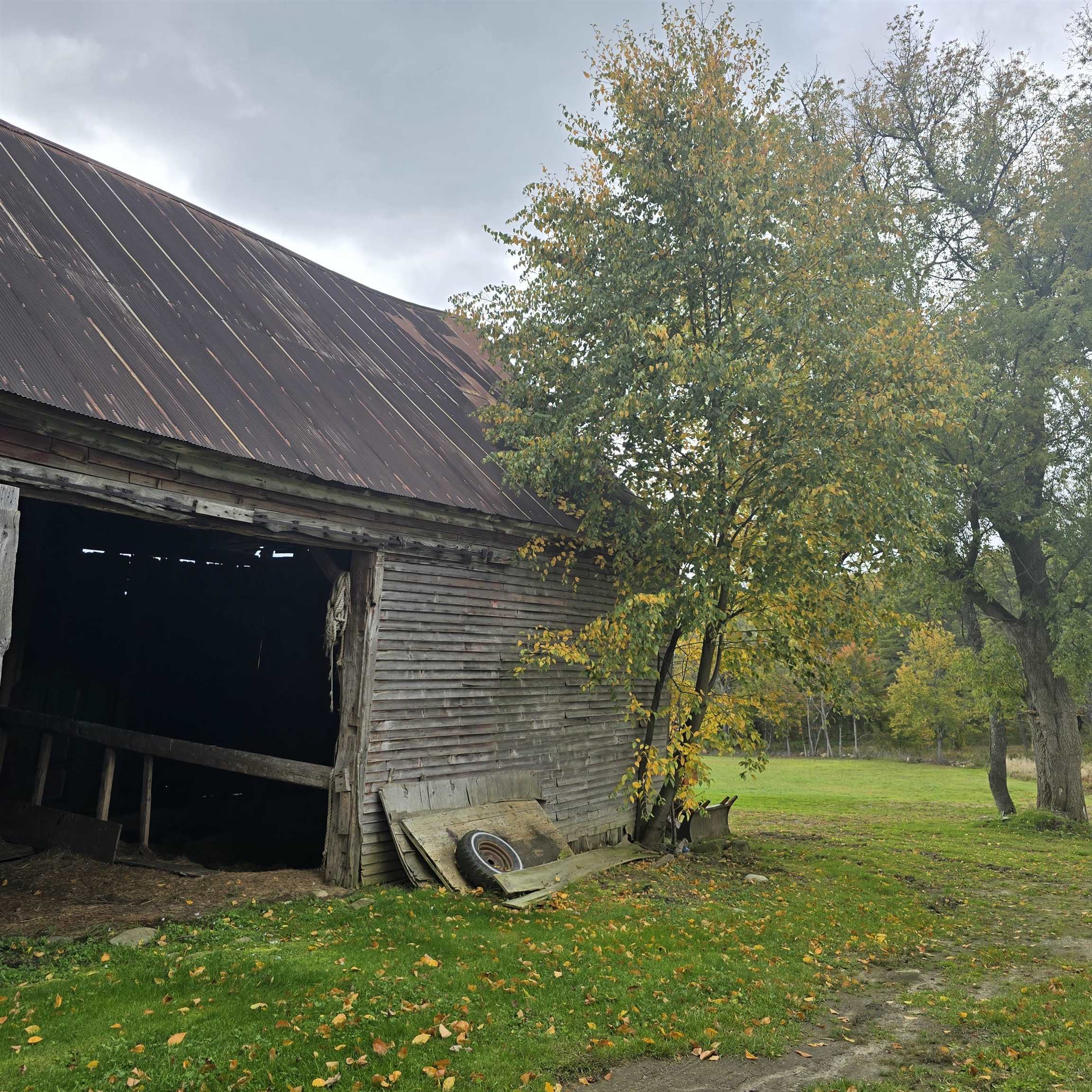 284 Elm Hill Property Photo 52