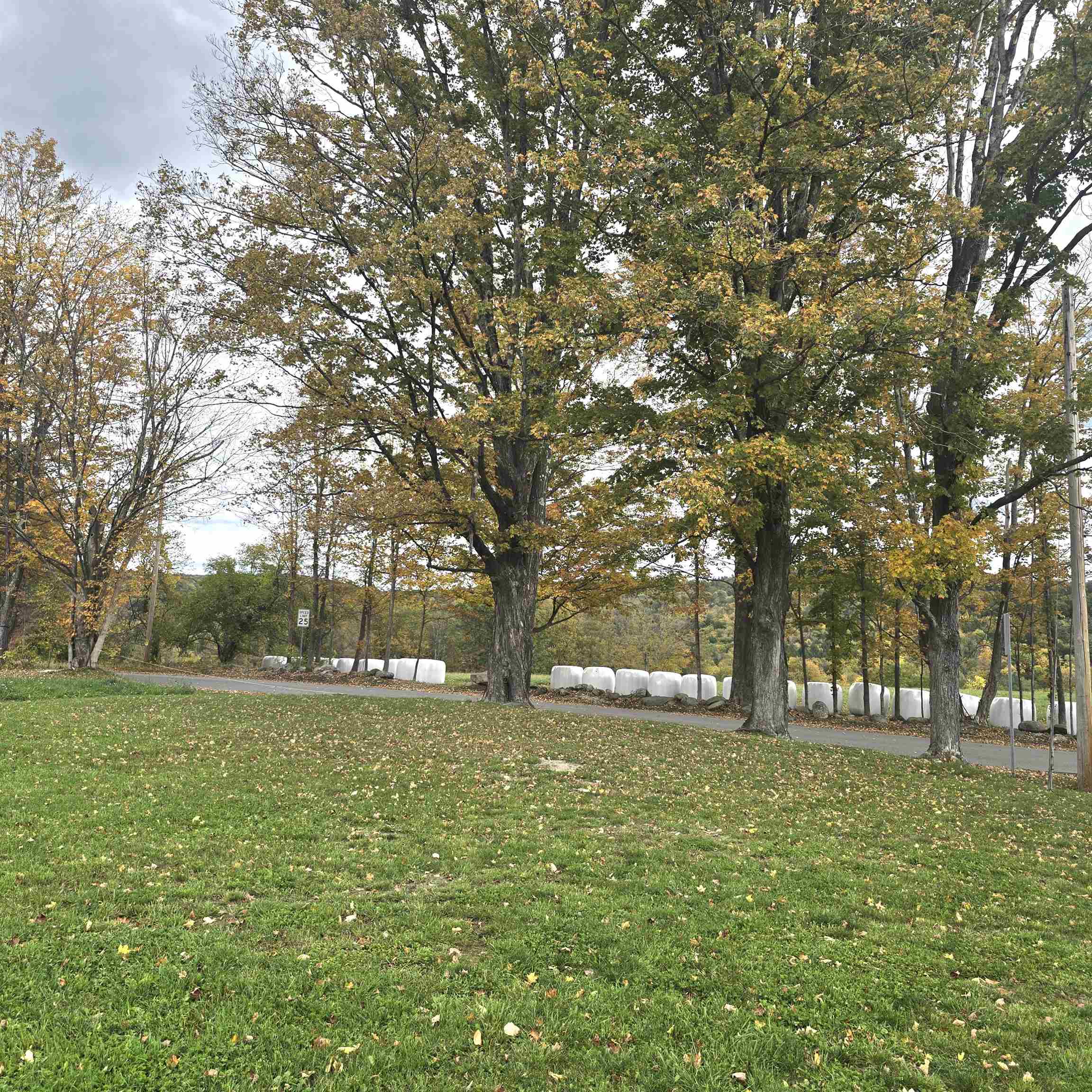 284 Elm Hill Property Photo 53