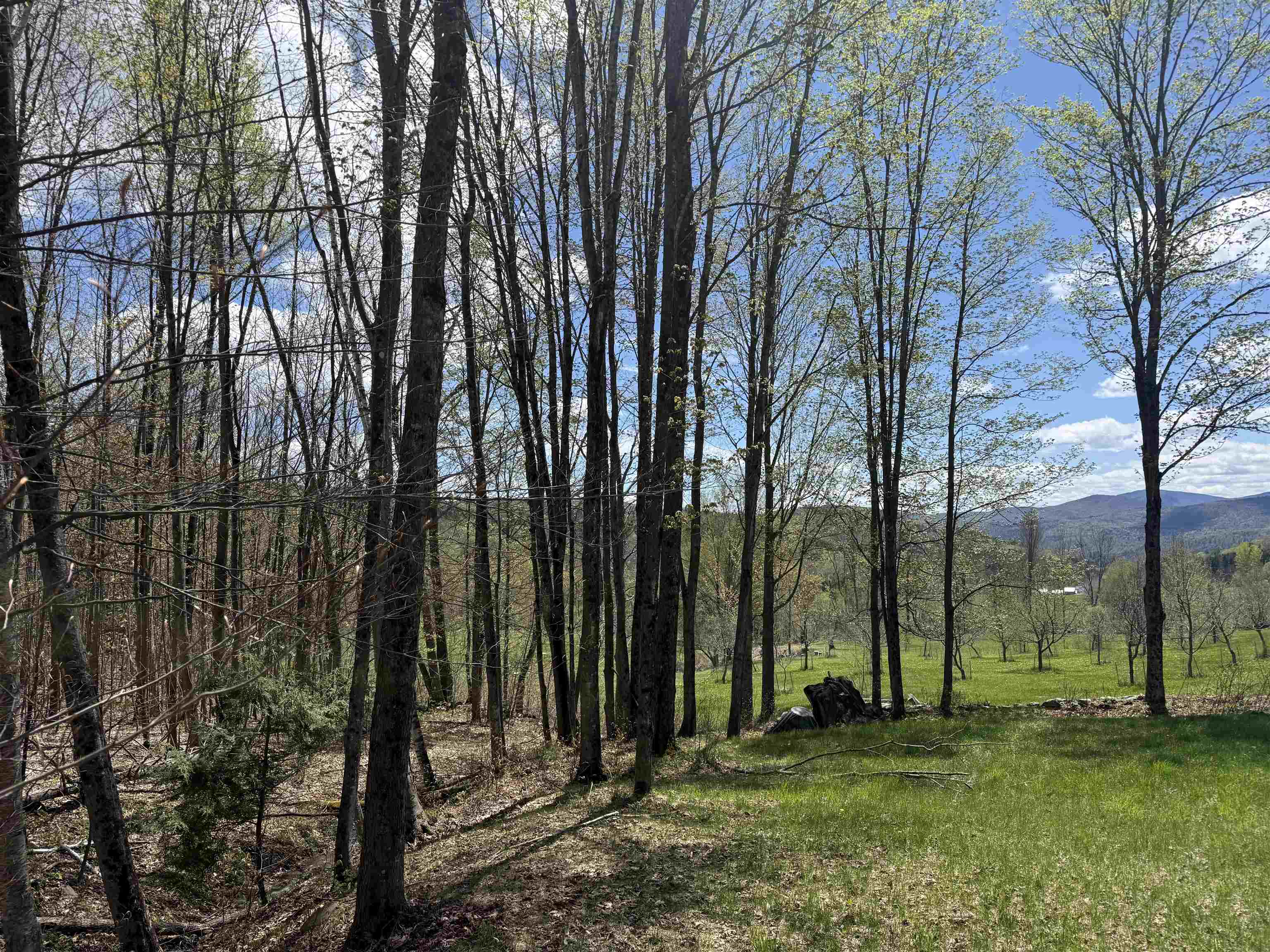 2527 Bent Hill Road Property Photo 14
