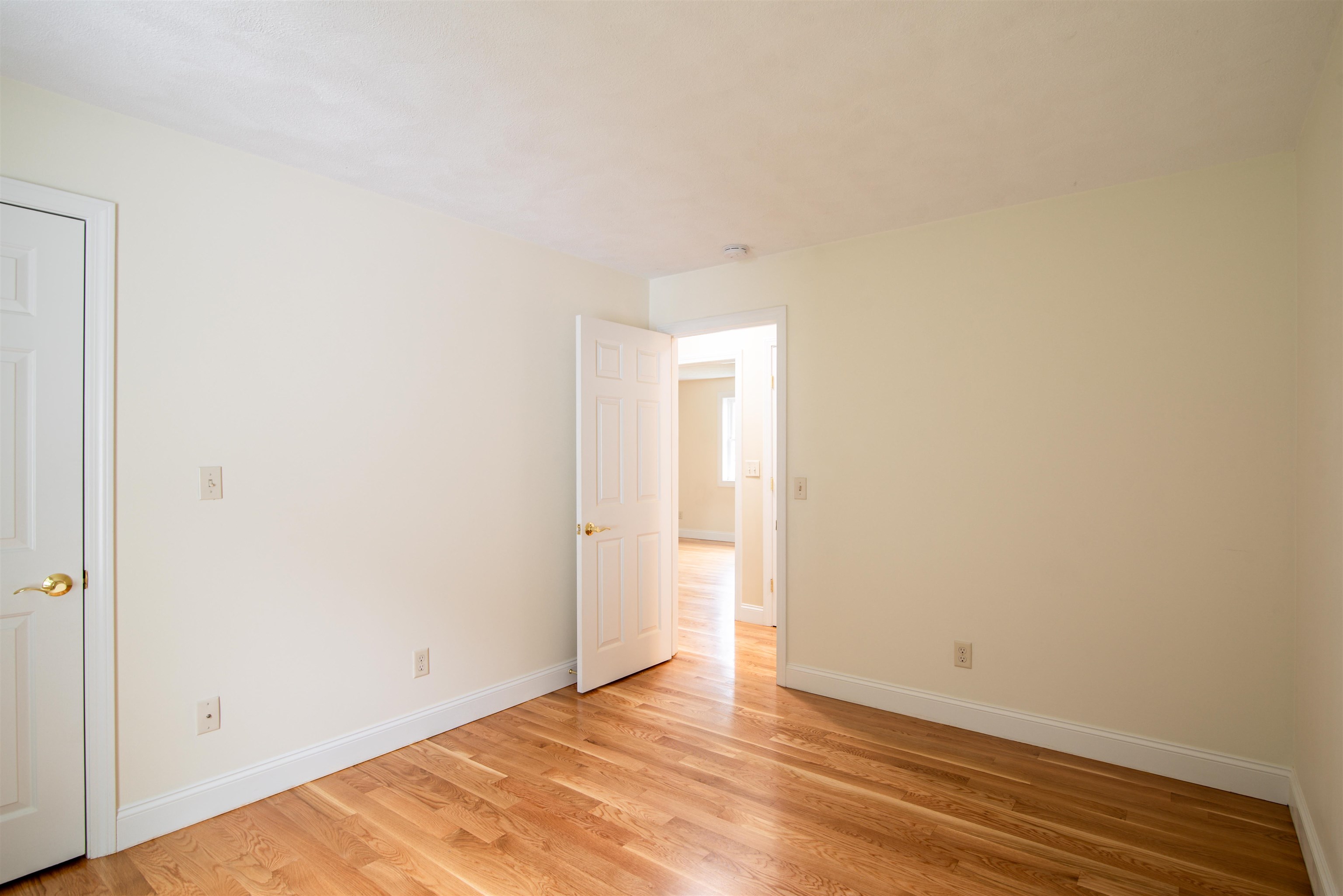 8 Mulligan Drive Property Photo 24