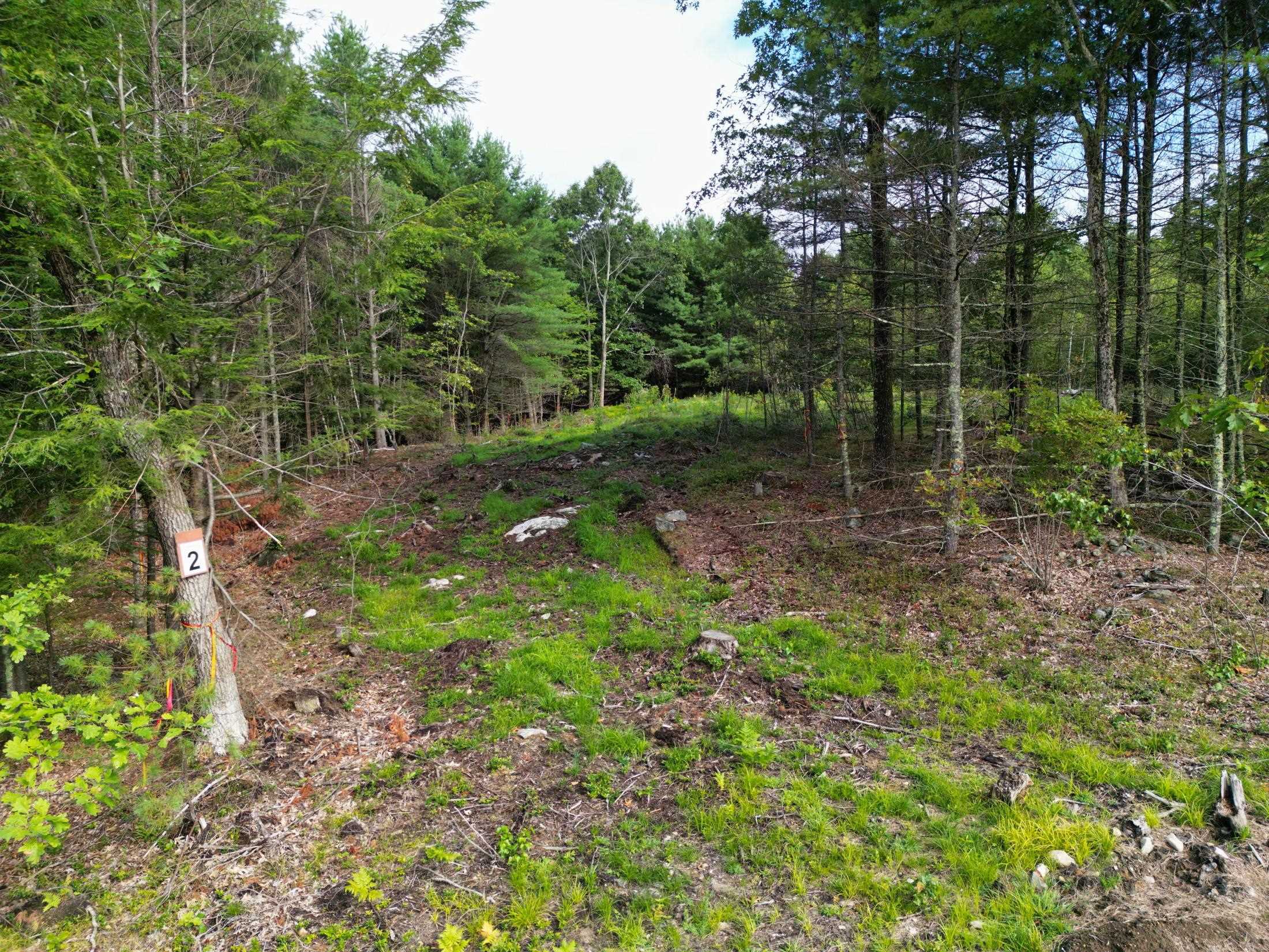Lot 2 Owls Nest Lane Property Photo 5