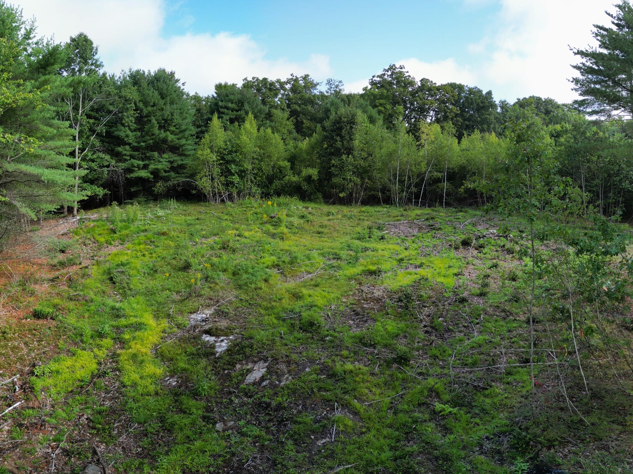 Lot 2 Owls Nest Lane Property Photo 6