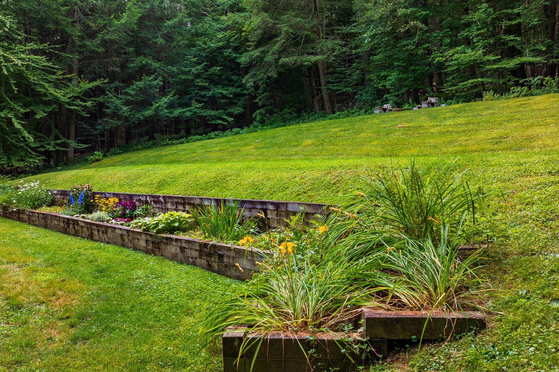 151 Dwight Road Property Photo 6