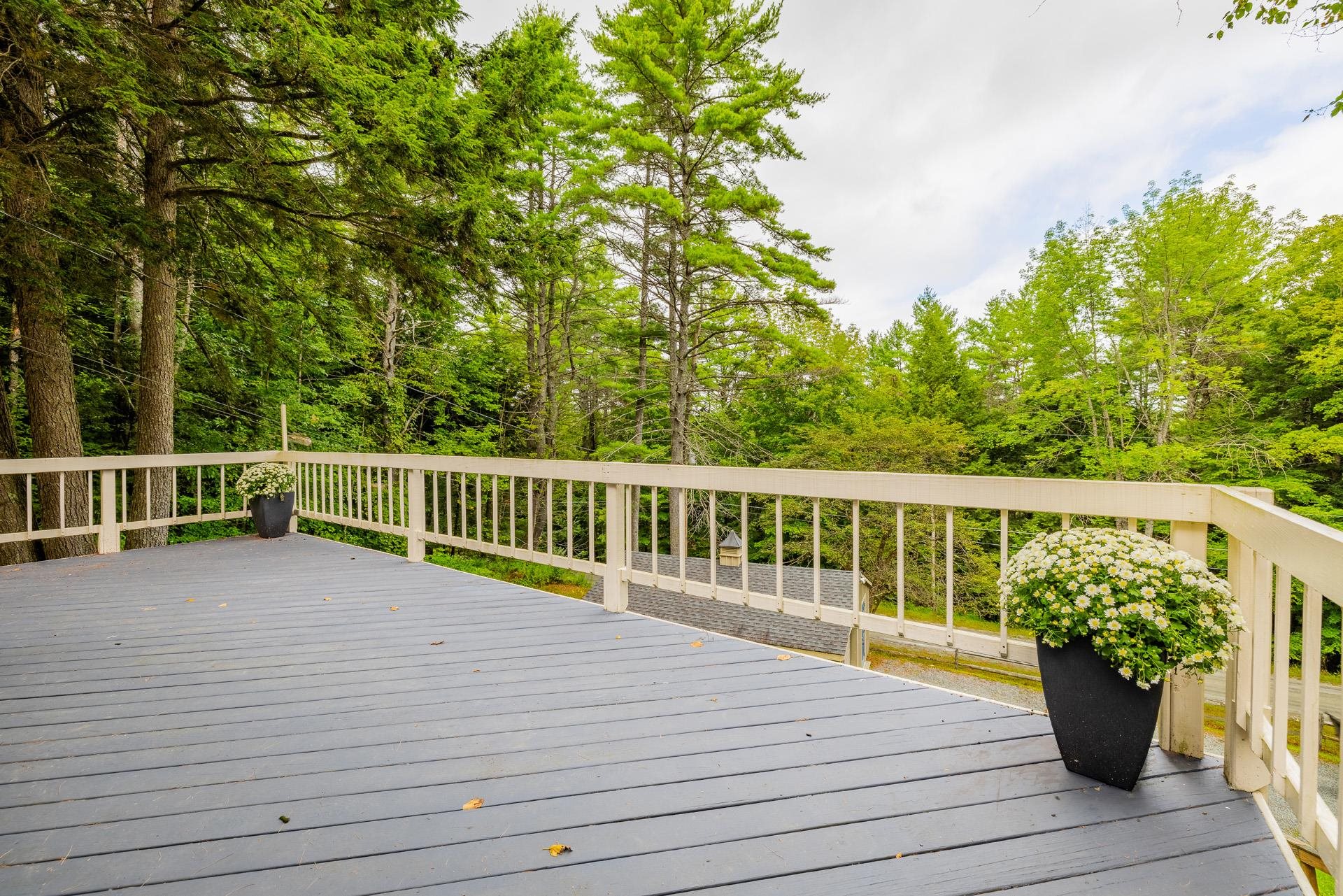 151 Dwight Road Property Photo 8