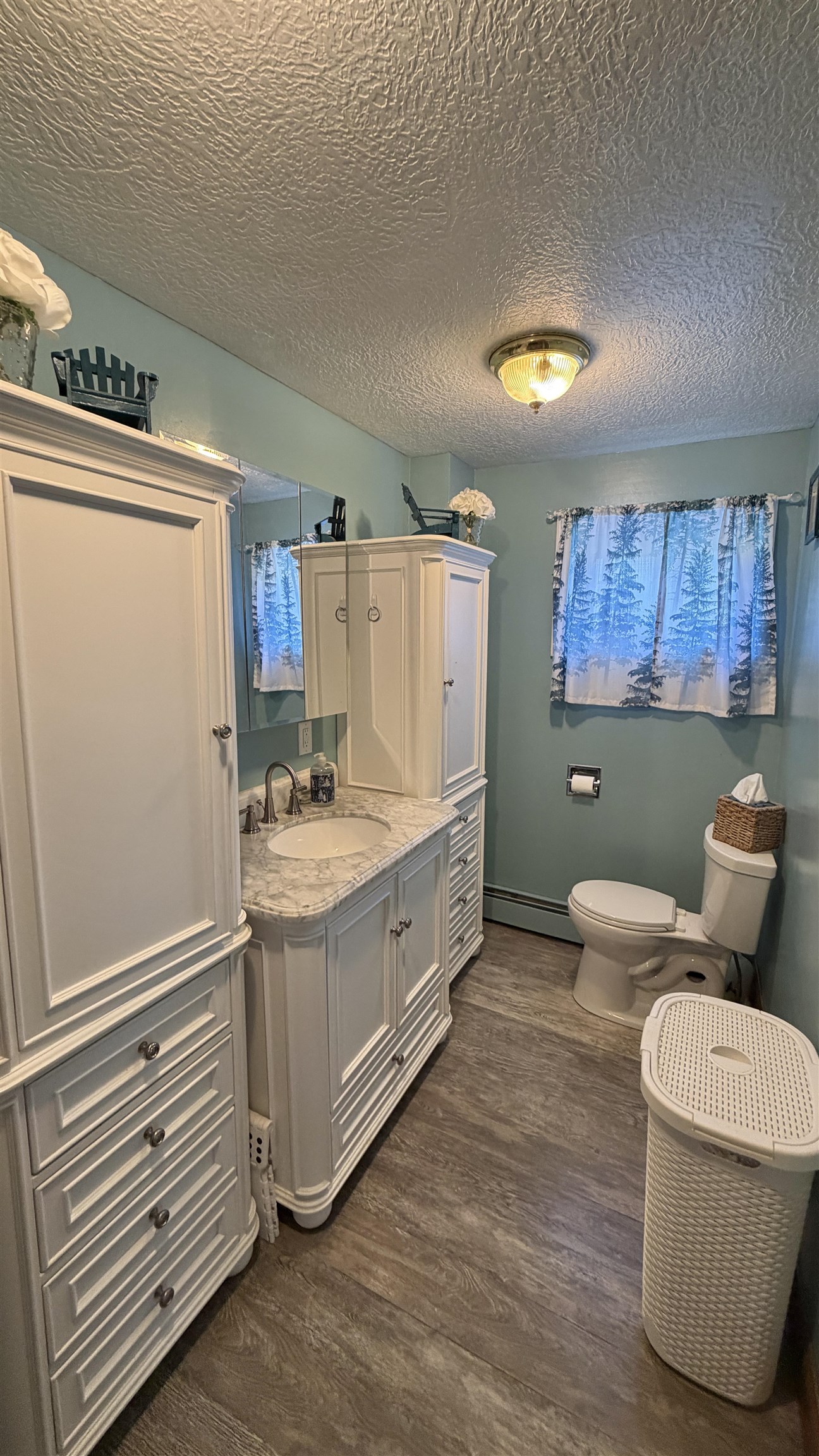 928 Main Road Property Photo 27