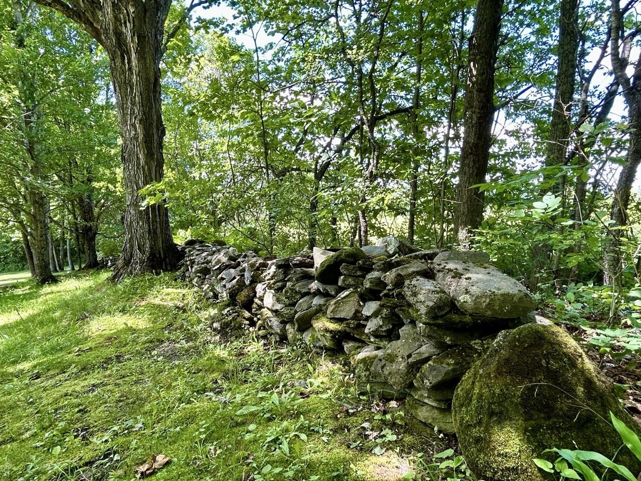 1019 Hebard Hill Road Property Photo 47
