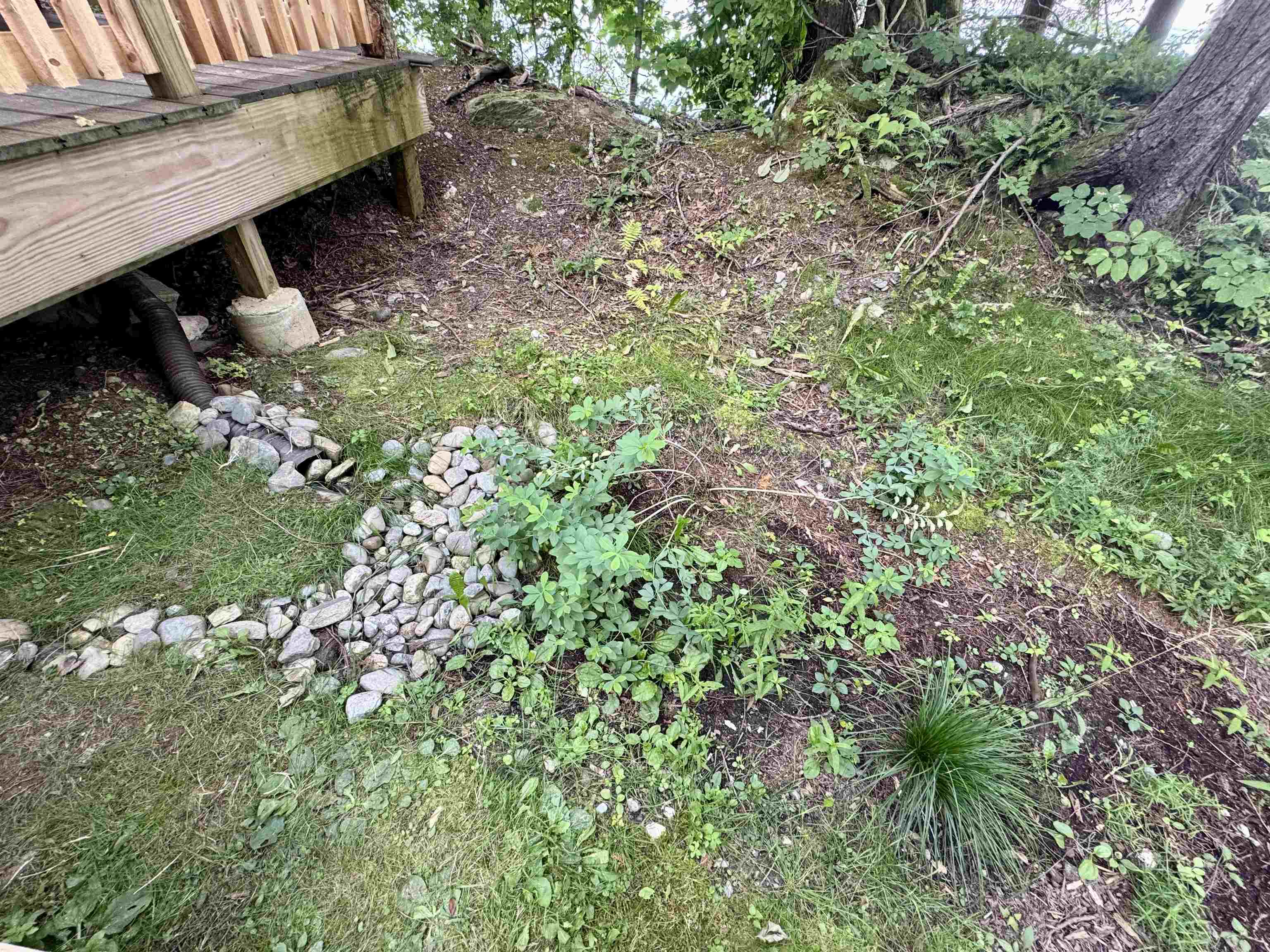 145 Shore Road Property Photo 21