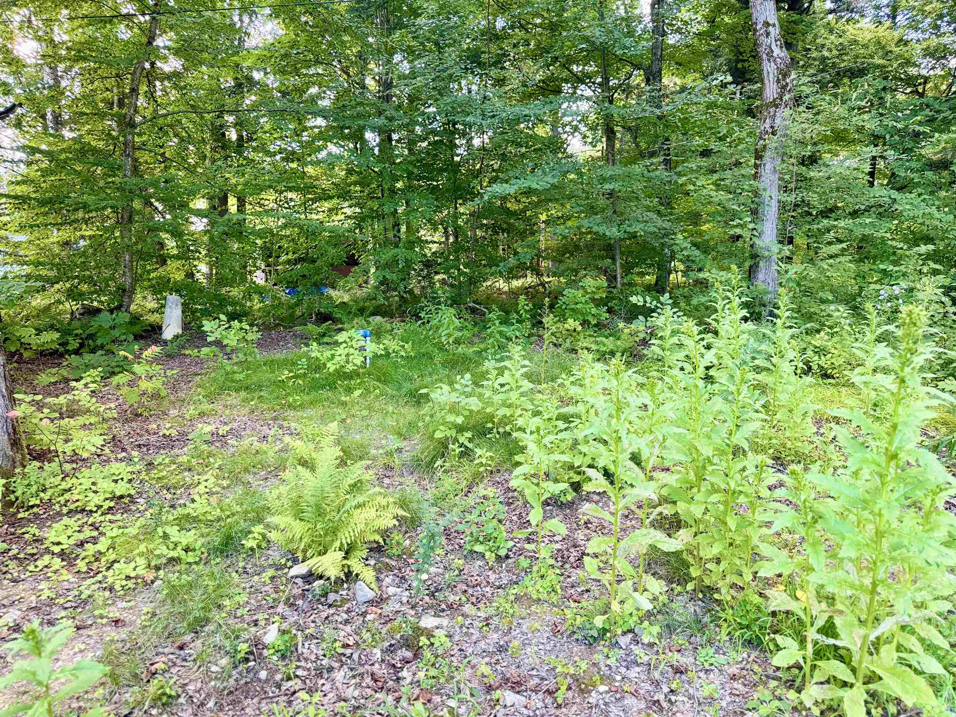 145 Shore Road Property Photo 42