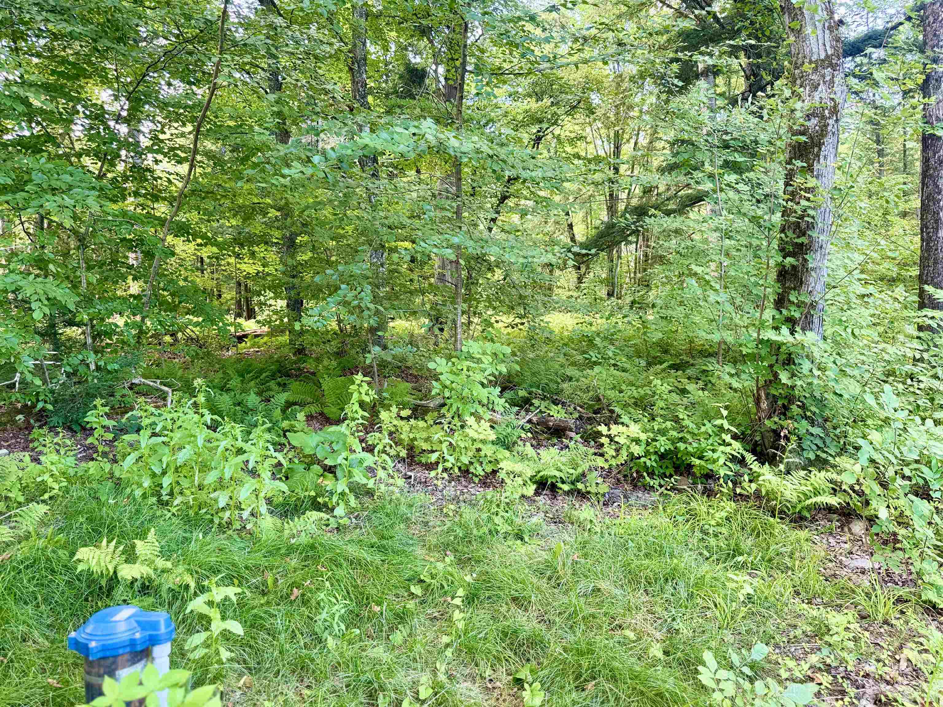 145 Shore Road Property Photo 43