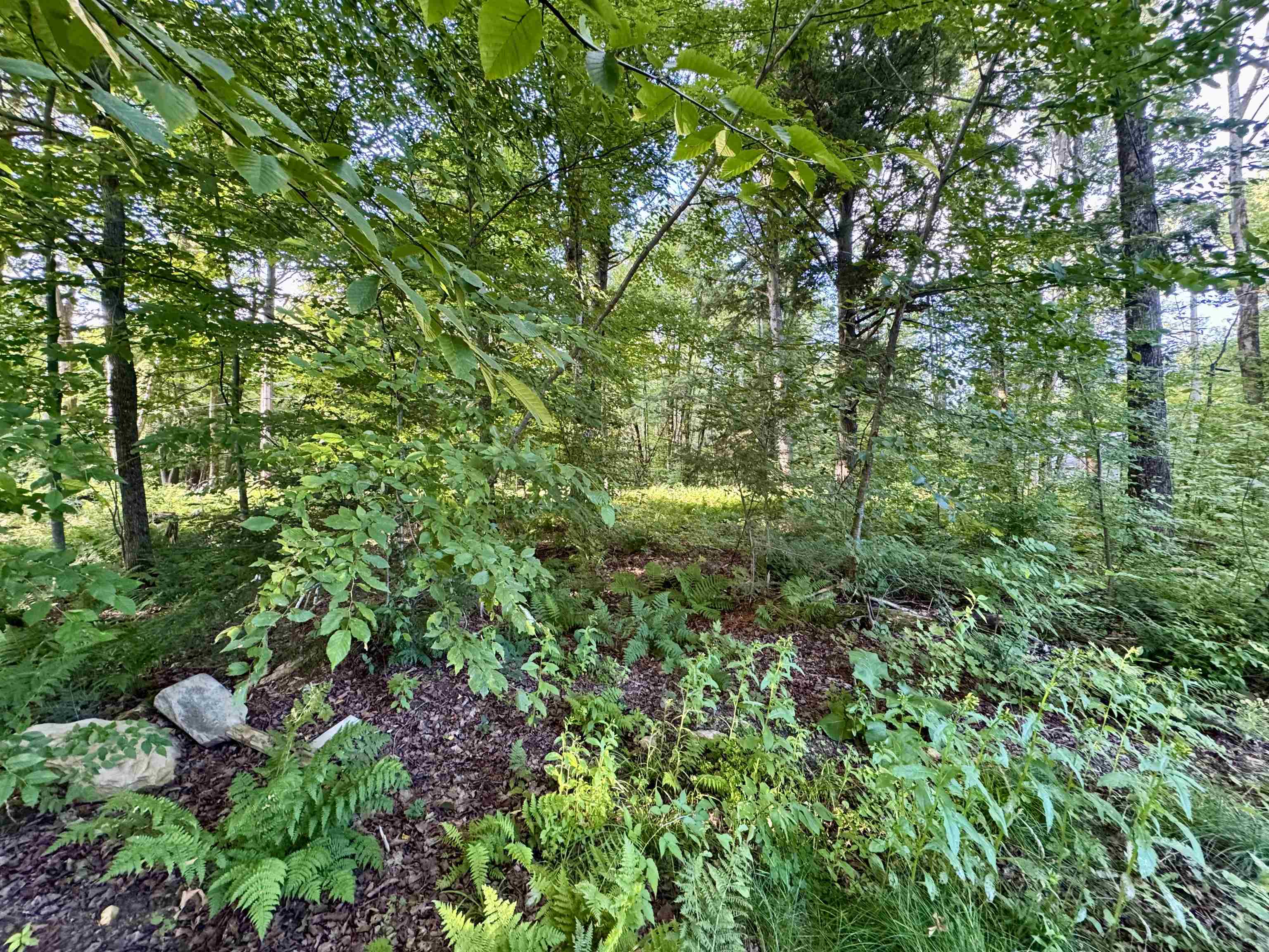 145 Shore Road Property Photo 44