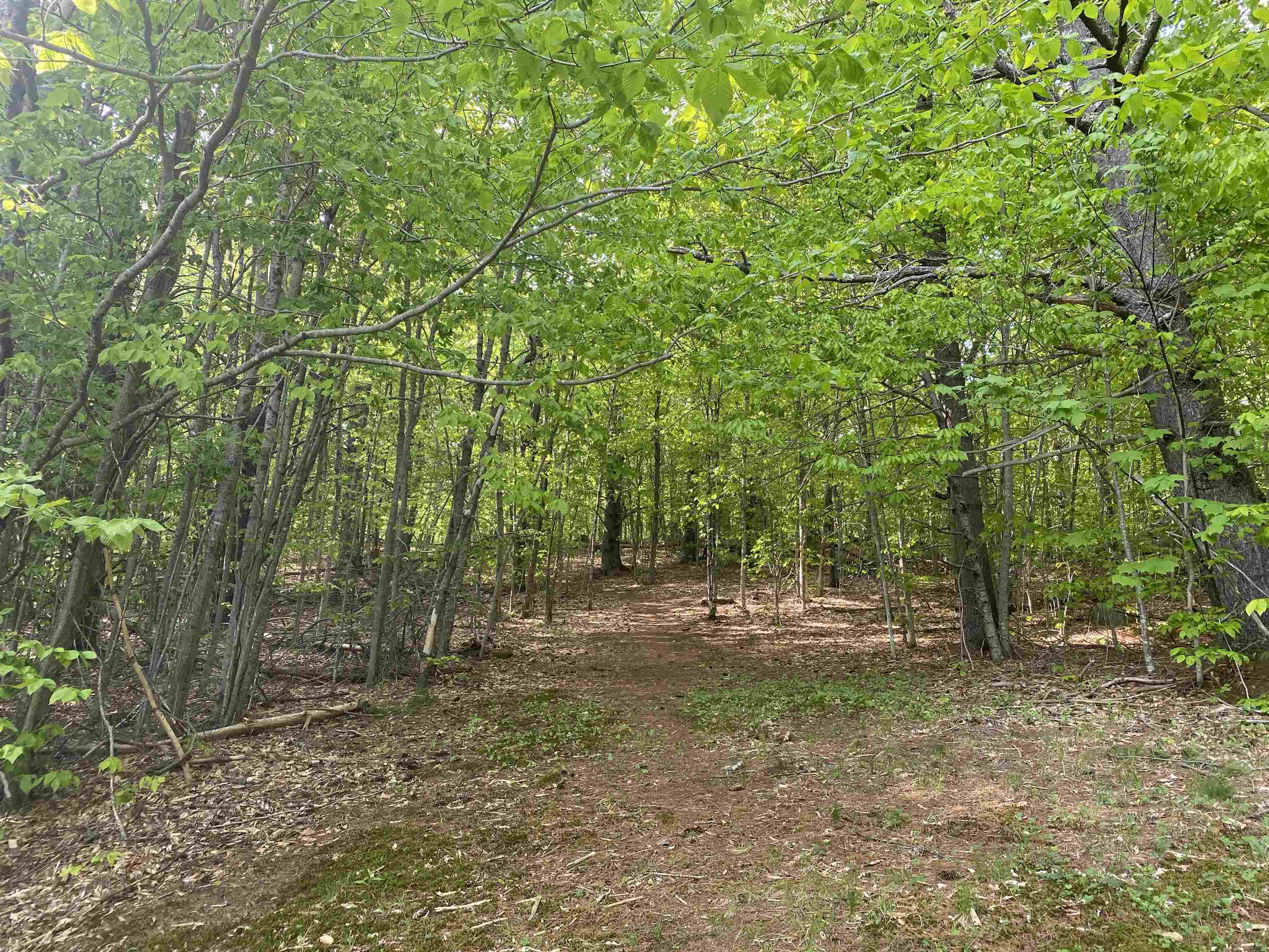 116 Teacher Road Property Photo 32